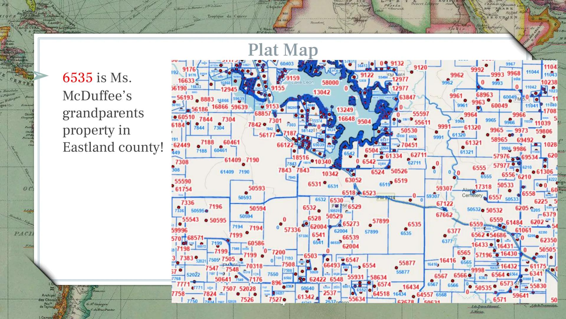 Fad
an
nawa
White Ni
lands C
Pk
Welle
Abyssinian
an G. of Aden
352001
Highlands
ea
Laccadives
Congo Ruwenzan
A1
20
Stanley Falle Vict
Nayou
