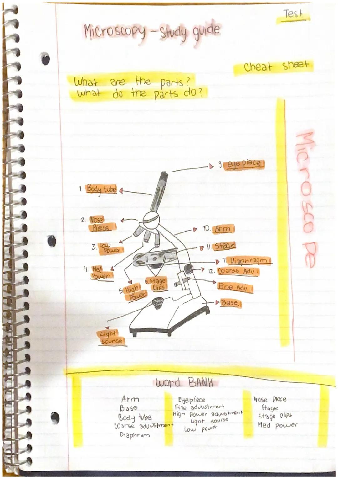 Test

Microscopy - Study guide

Cheat sheet

What are the parts?
what do the parts do?

1 Body tube 4

- eye piece

2. Nose
Piece

3 low
Pow