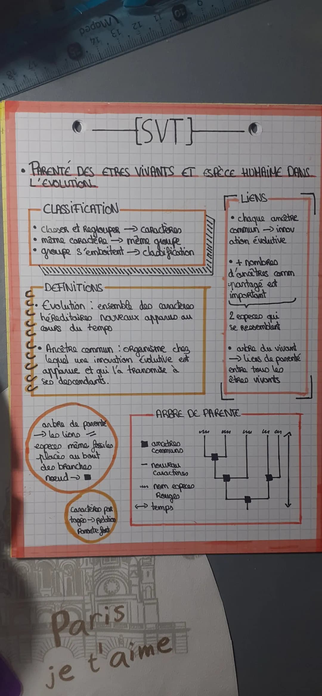 - [SVT]
- PARENTÉ DES ETRES VIVANTS ET ESPÈCE HUMAIME DANS
L'EVOLUTION

CLASSIFICATION.
- Claeser et Reglouper caractères
- même caractère m
