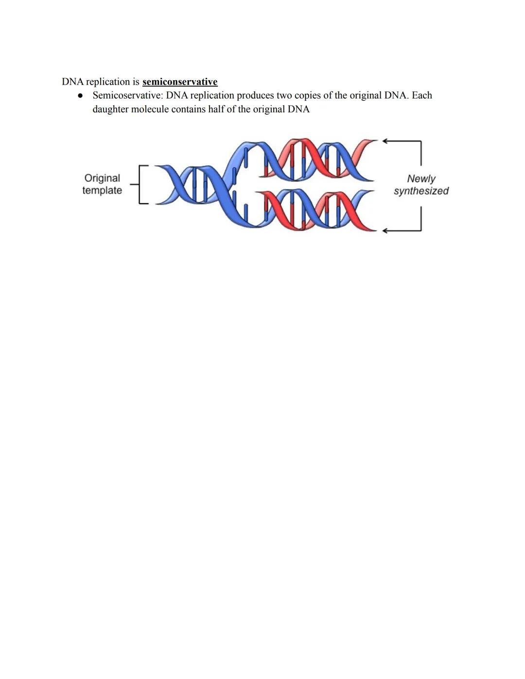 # DNA Replication

DNA

Replication fork
Helicase

Leading strand
DNA polymerase

Lagging strand
Replication fork

Replicated DNA

Replicati