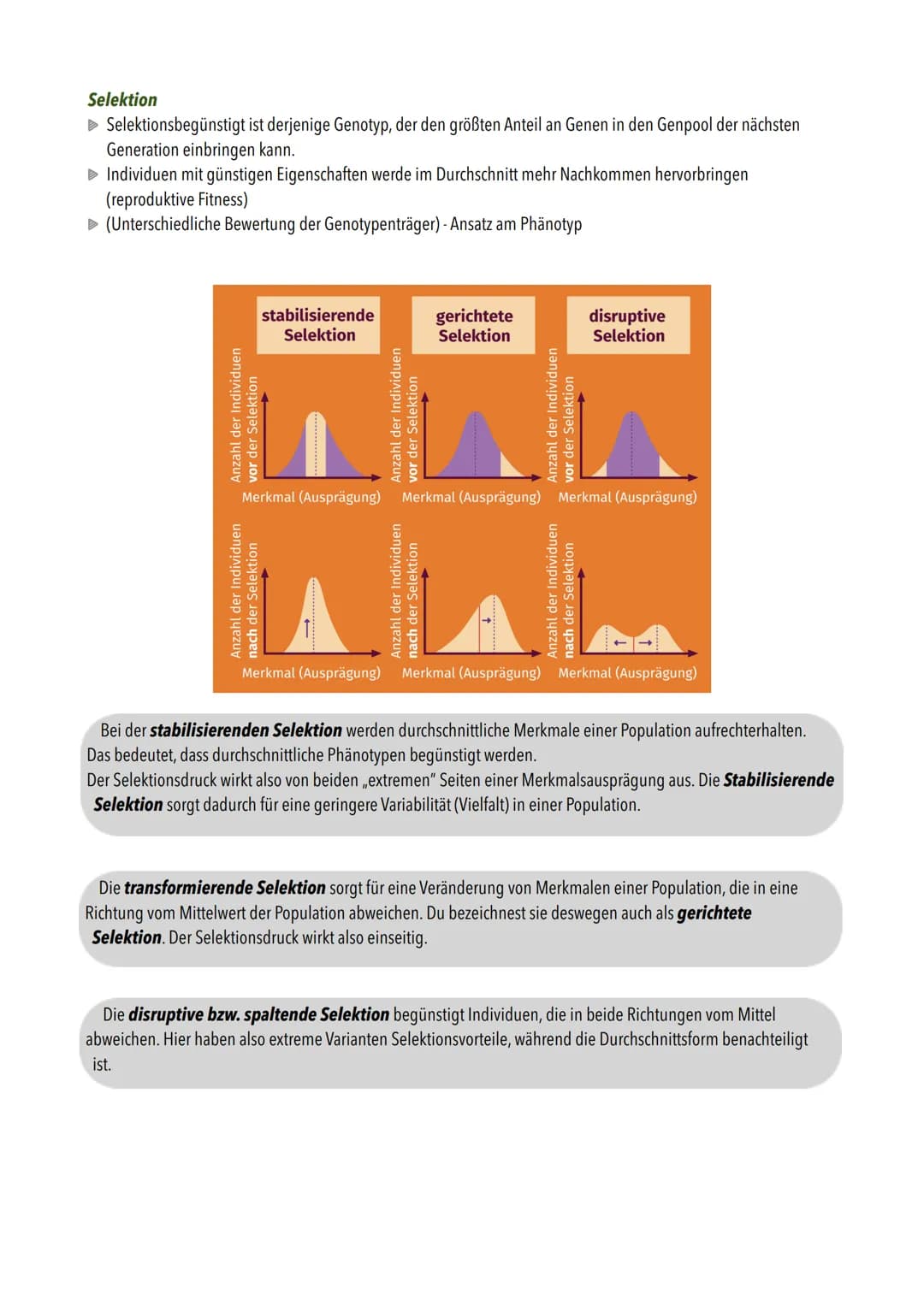 ## Evolution
Die wichtigsten Begriffe:

| Begriff              | Definition                                                                 
