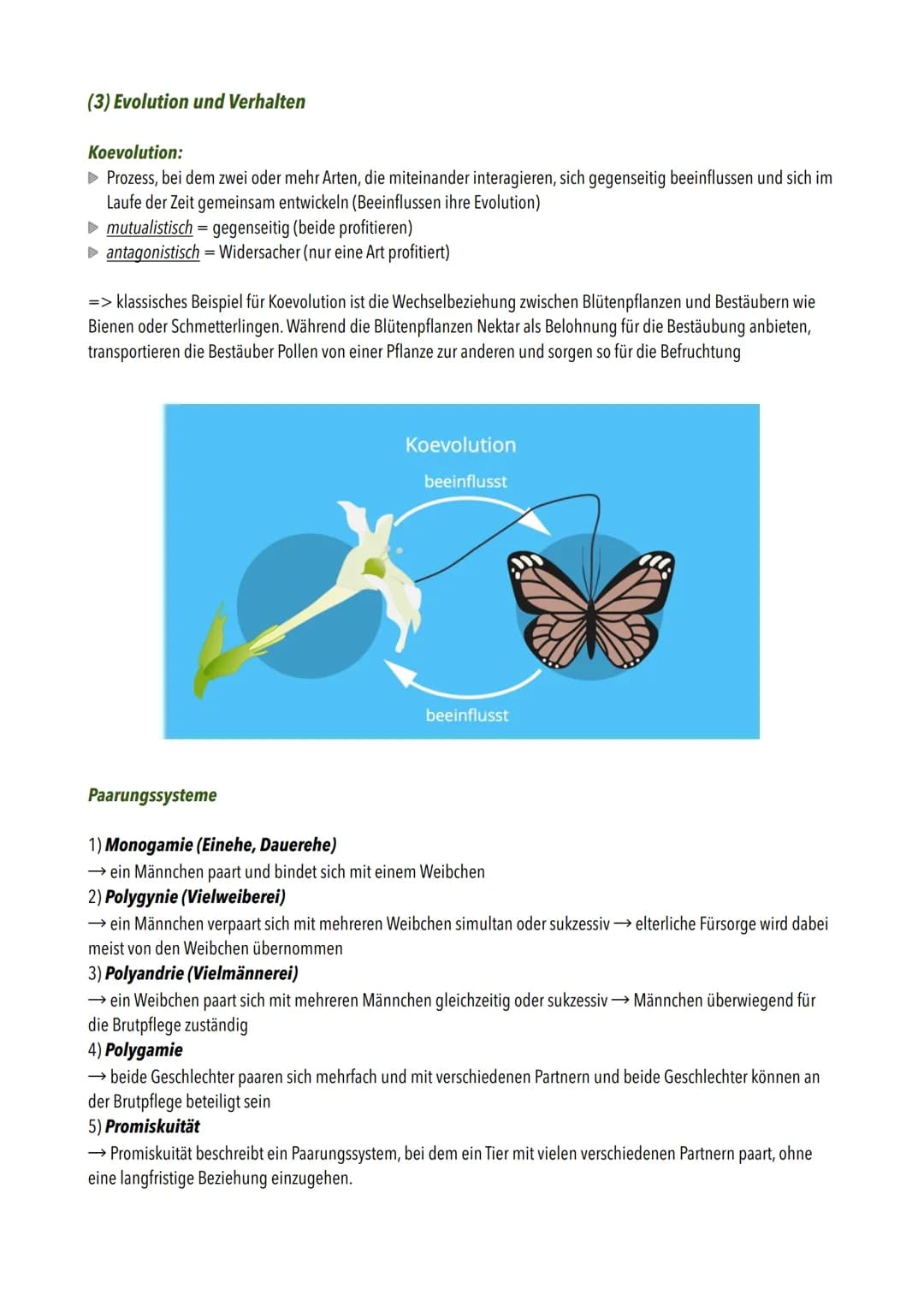 ## Evolution
Die wichtigsten Begriffe:

| Begriff              | Definition                                                                 