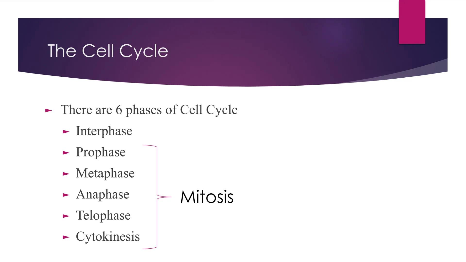 # Phases of Mitosis # The Cell Cycle

- There are 6 phases of Cell Cycle
- Interphase
- Prophase
- Metaphase
- Anaphase
Mitosis
- Telophase
