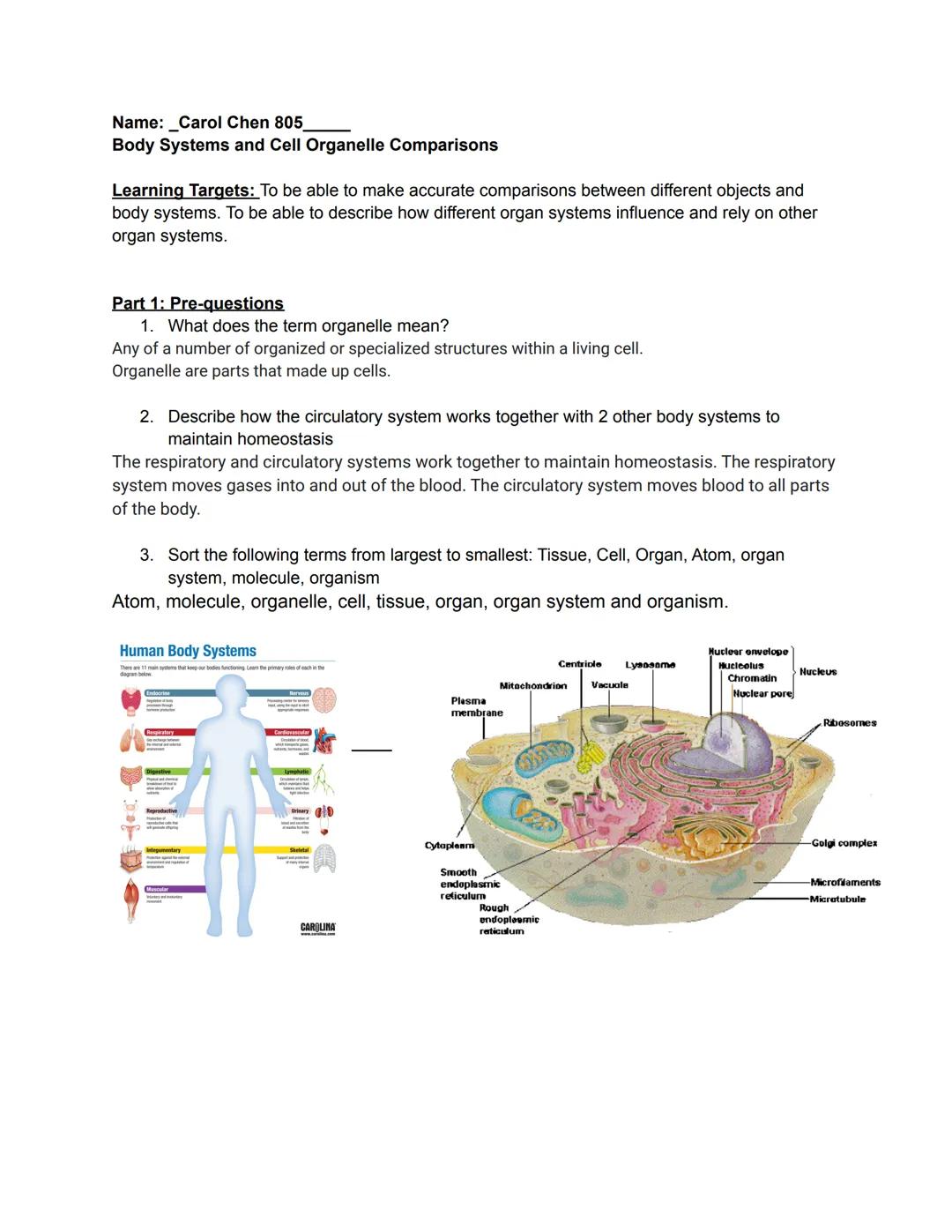 Name: _Carol Chen 805
Body Systems and Cell Organelle Comparisons

Learning Targets: To be able to make accurate comparisons between differe