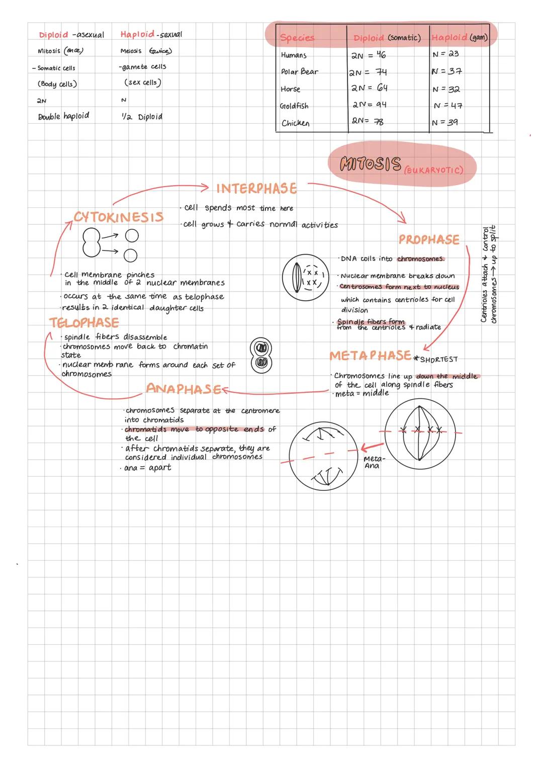 # Asexual & Sexual Reproduction of Cells

SEXUAL REP.
- Two genetic materials combine in order to
produce an offspring
- Sex cells (female e