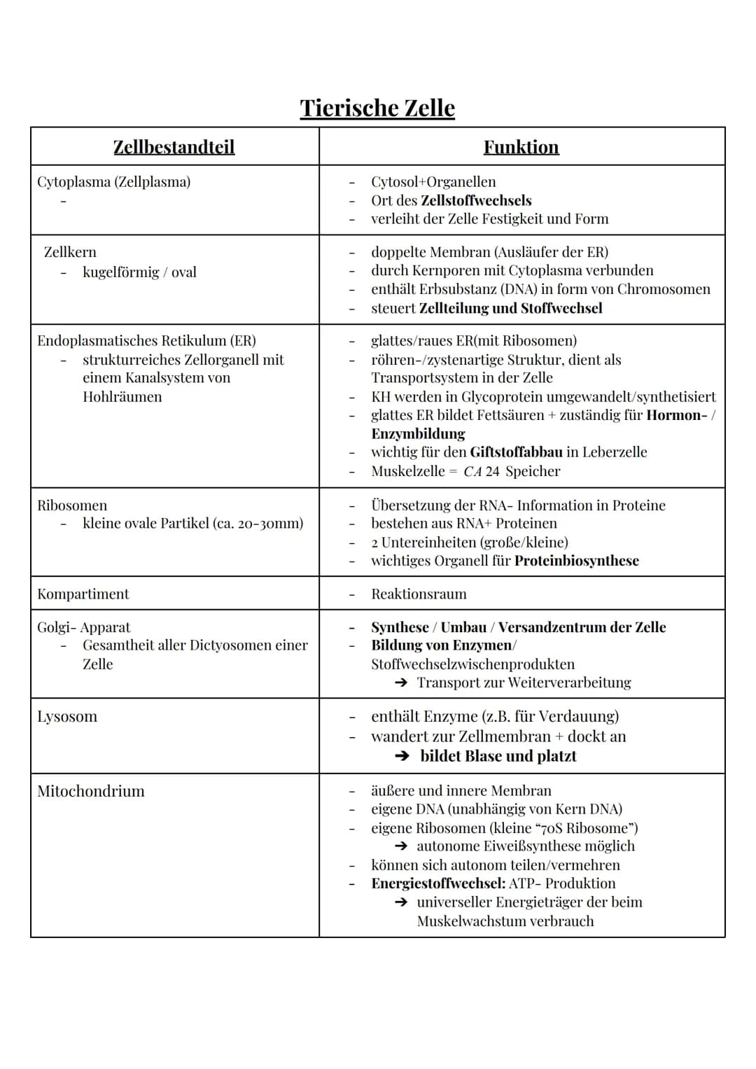# Das Mikroskop

Okular

Tubus

Stativ

Objekthalter

Grob-
trieb

Fein-
trieb

www.lichtmikroskop.net

Revolverkopf

Objektive

Objektträge