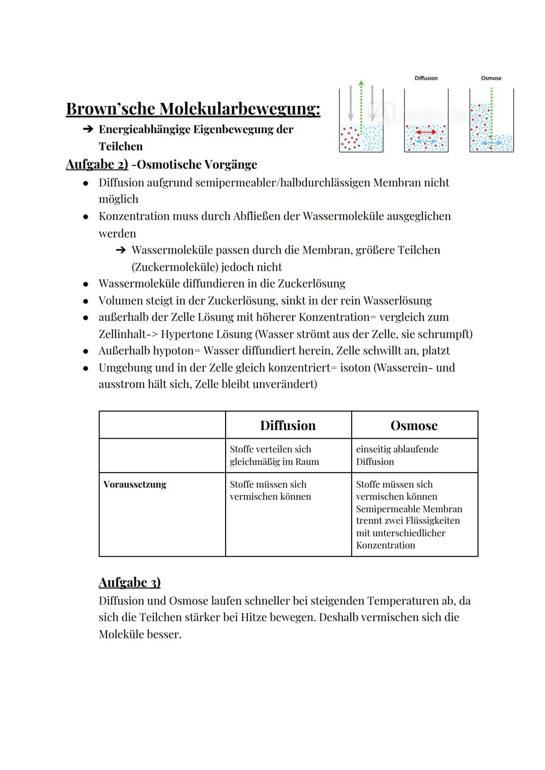 # Das Mikroskop

Okular

Tubus

Stativ

Objekthalter

Grob-
trieb

Fein-
trieb

www.lichtmikroskop.net

Revolverkopf

Objektive

Objektträge