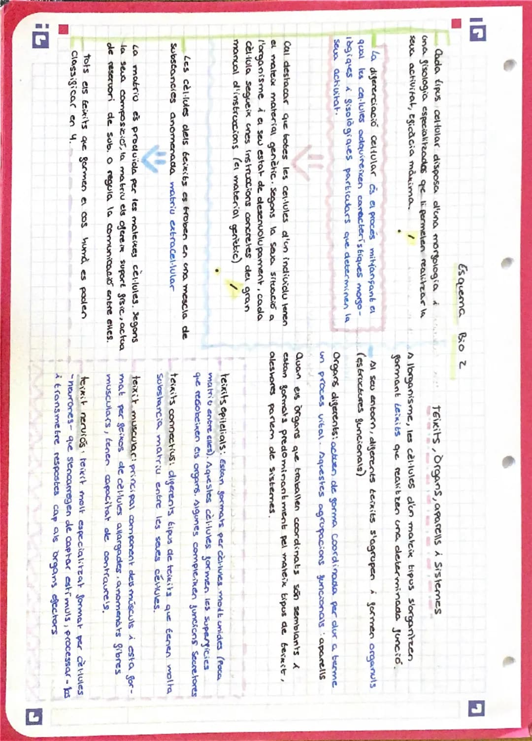 # Biocogia Esquema

tots els éssers vius estan formats per cellules
que estah, al seu corn, compostes de molècules.

Biomolècules: Són molec