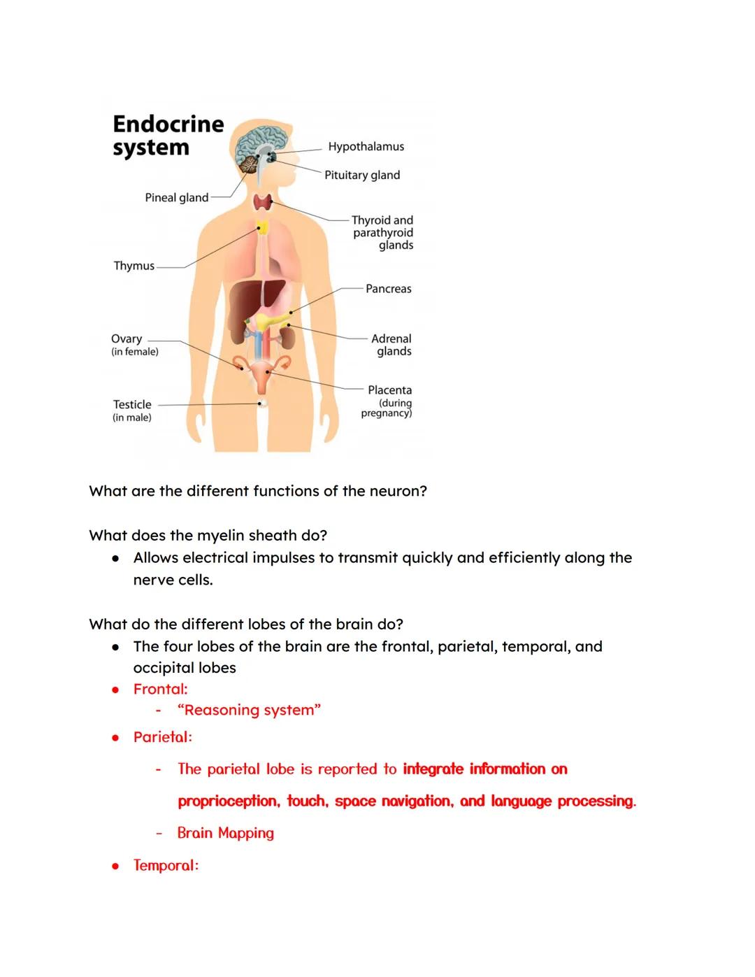 TEST REVIEW FOR BIOLOGICAL UNIT III OF TEXTBOOK

Define Aphasia - which part of the brain may be damaged by this
- loss of ability to unders