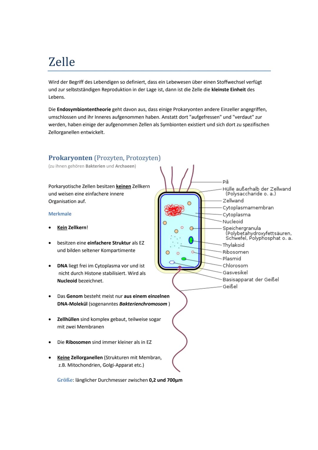 # Zelle

Wird der Begriff des Lebendigen so definiert, dass ein Lebewesen über einen Stoffwechsel verfügt
und zur selbstständigen Reprodukti