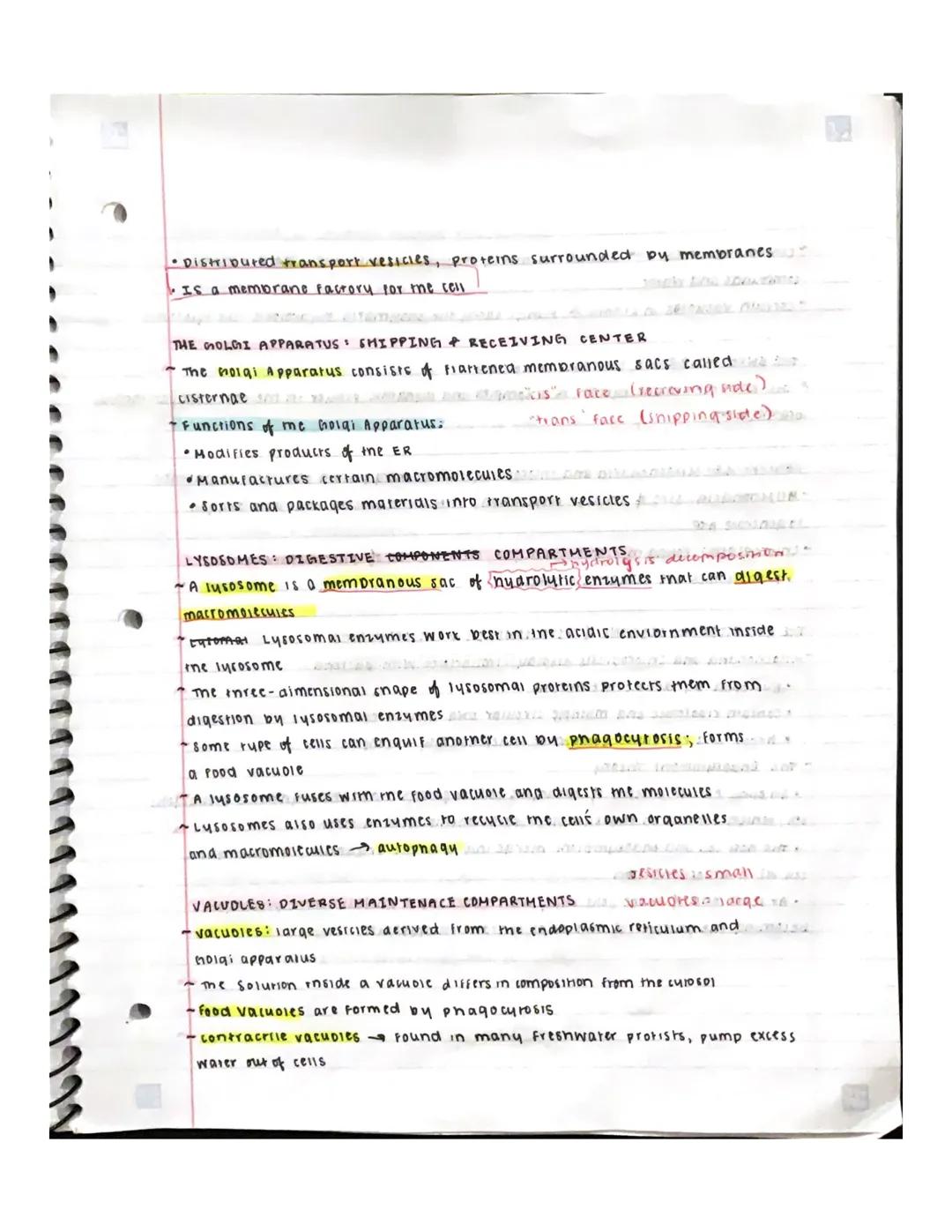 # UNITY: TOUR of THE CELL

Overview: The Fundamental units of Life.

- All cells are relared by their descent from earlier cells
- Though ce