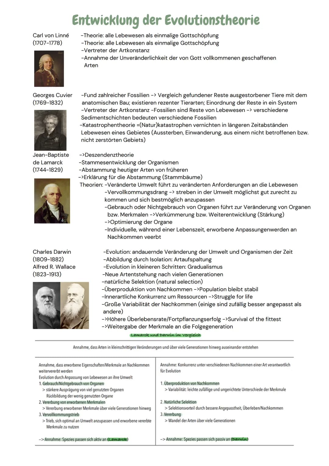 ![dino](null)

ABITURZUSAMMENFASSUNG

2023

Biologie LK

Evolution # Entwicklung der Evolutionstheorie

Carl von Linné
(1707-1778)
-Theorie: