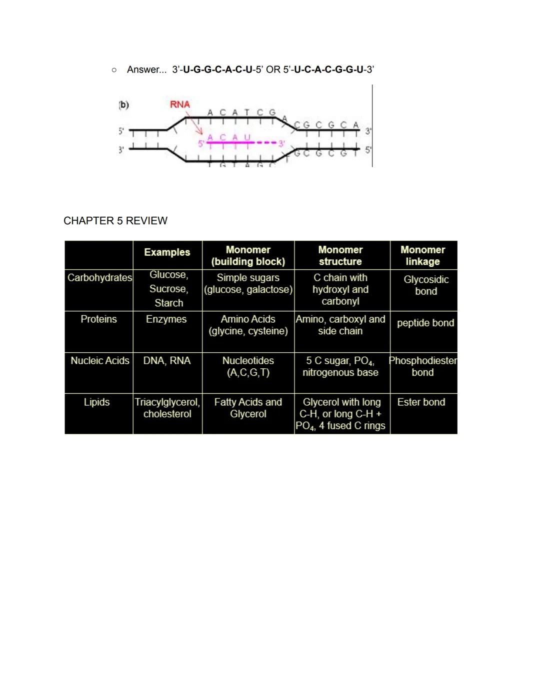 # Chapter 5- Molecules

Four types of Biological Macromolecules

1. Carbohydrates
2. Proteins
3. Nucleic Acids
4. Lipids

Most are polymers: