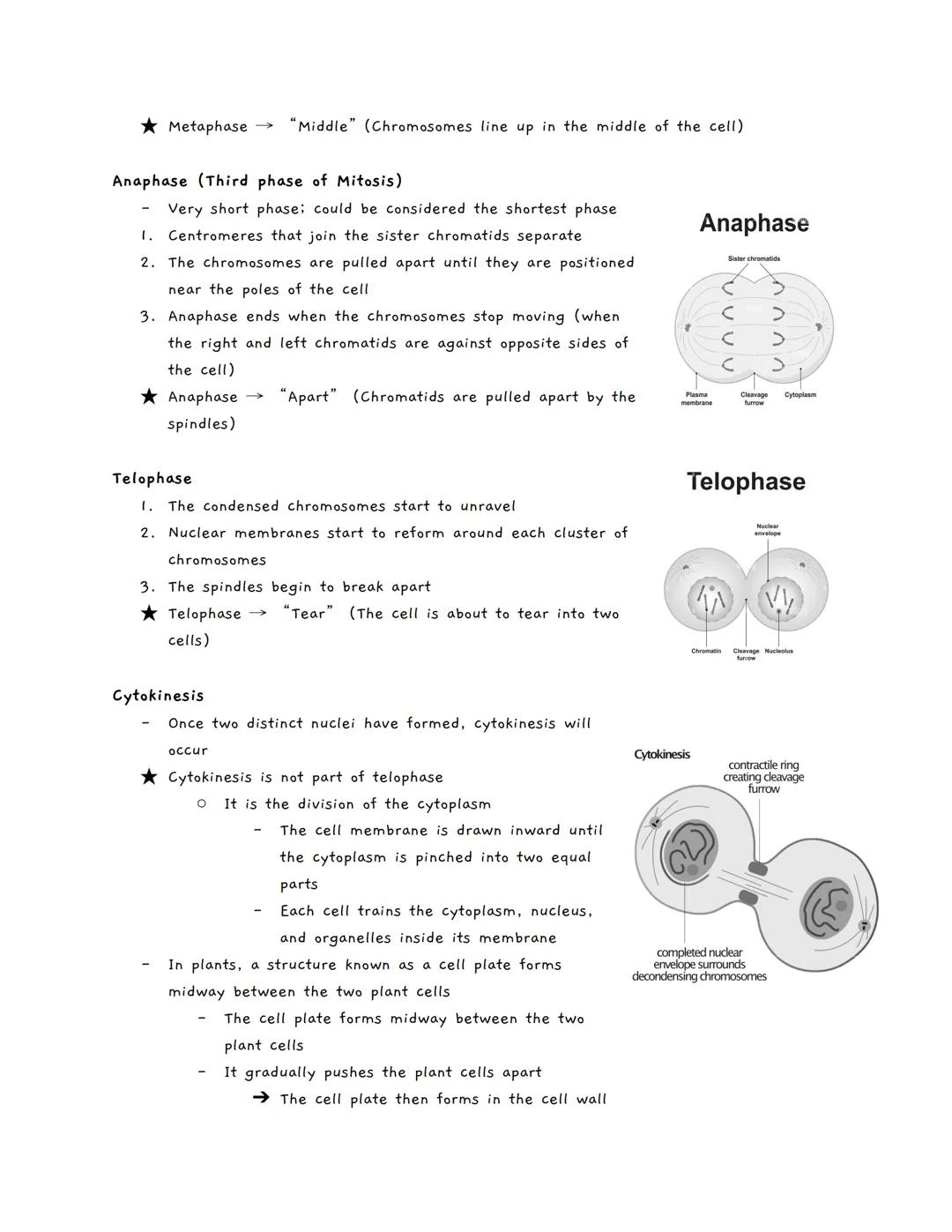 # Mitosis

Cell Division

★ The ability to reproduce is a driving characteristic in all living organisms.

  *   If a group of organisms did