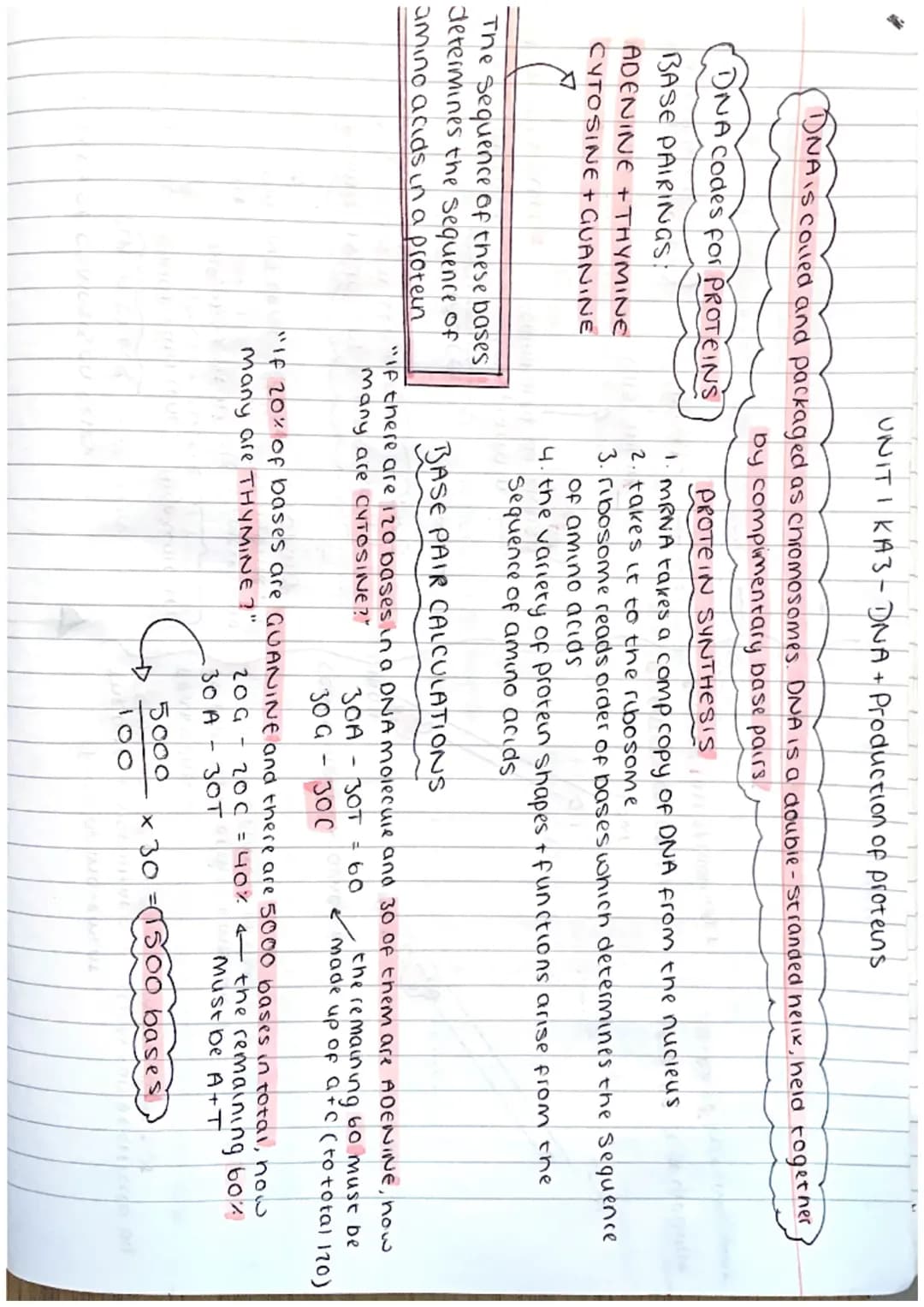 ΟΝΙΤΙ ΚΑI - Cell Structure

ANIMAL CELL
Cell
membrane
nucleus
ribosome
cytoplasm
Mitocondria

PLANT CELL cellmembrane
cell wall
nucleus
ribo