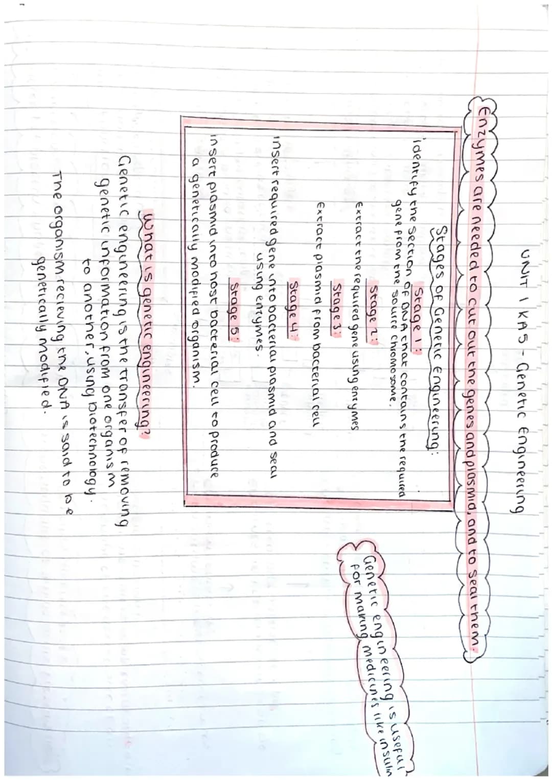 ΟΝΙΤΙ ΚΑI - Cell Structure

ANIMAL CELL
Cell
membrane
nucleus
ribosome
cytoplasm
Mitocondria

PLANT CELL cellmembrane
cell wall
nucleus
ribo