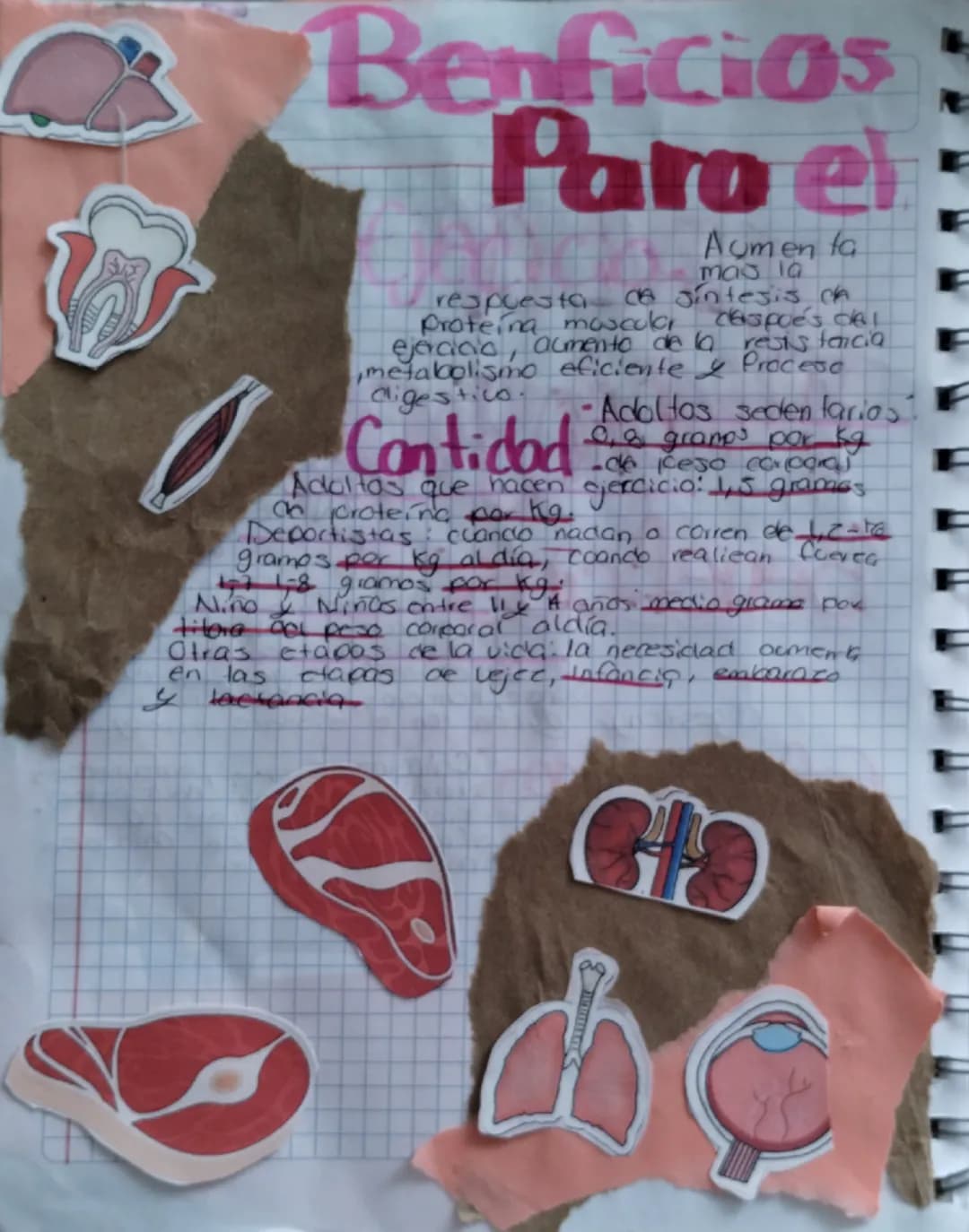 ASPRONAG

son moleadas
As proteinas
grandes complejas querun
desempanan muchas funciones
en el cuerpo. Realican la
mayor parte del frabajo e