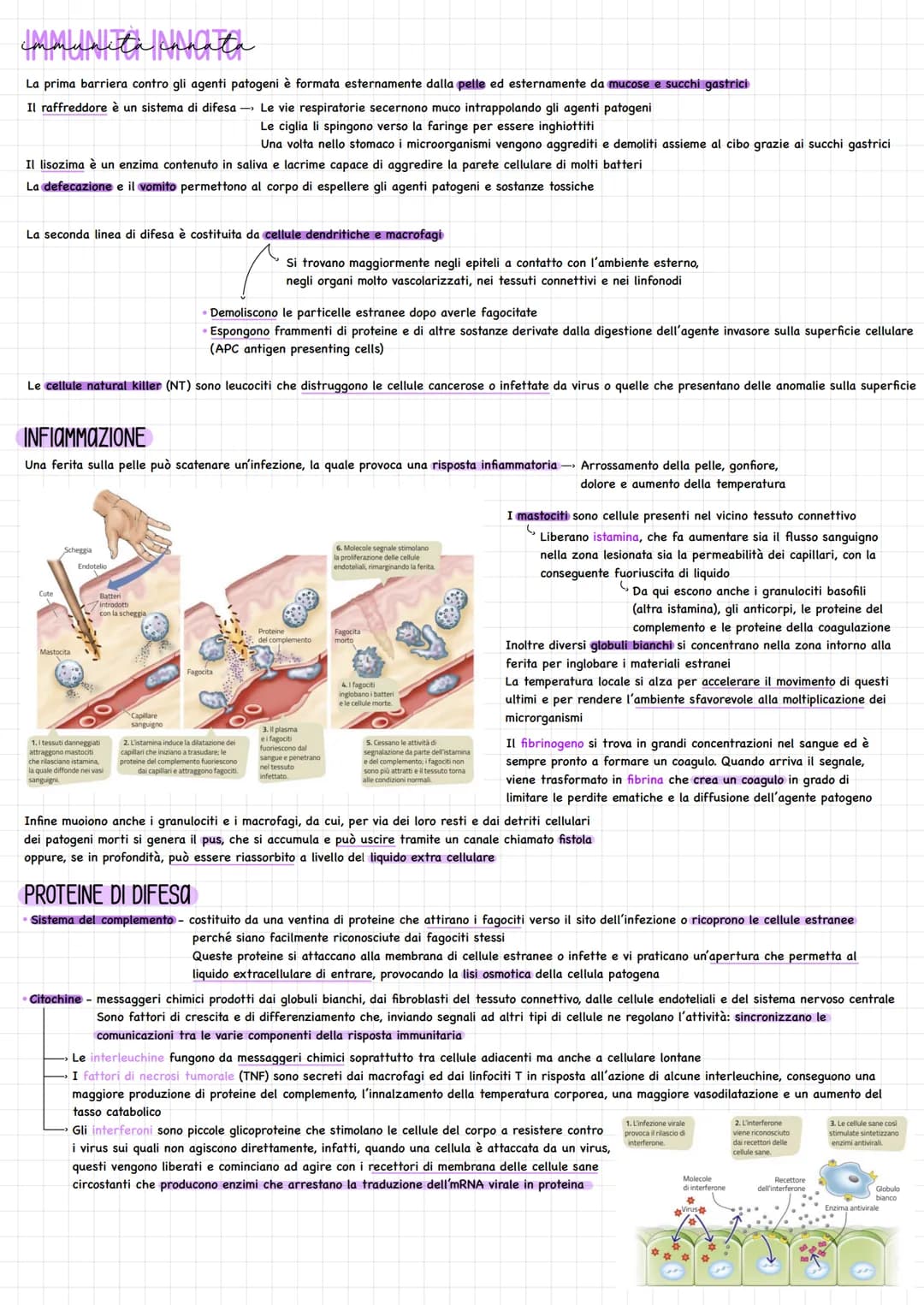 # Sistema lingat料CO

Sistema di vasi, separato da quello sanguigno

Funzioni principali mantenere costante la presenza di liquidi e di solut