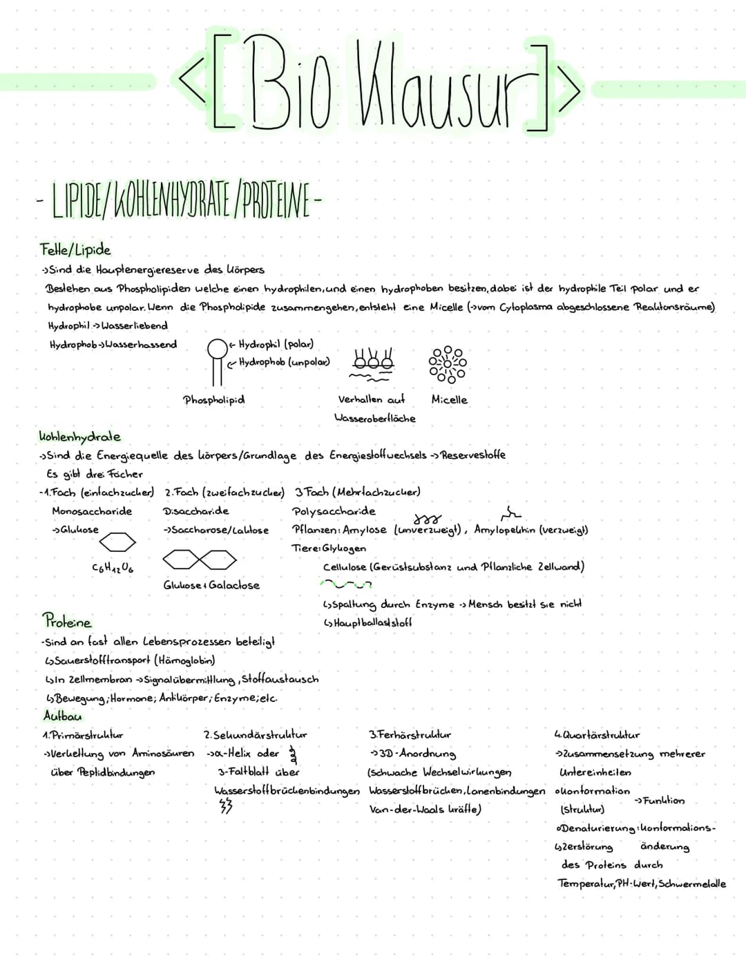 # <[Bio Klausur]>

- LIPIDE/KOHLENHYDRATE/PROTEINE –

Felle/Lipide

Sind die Hauptenergiereserve des Uörpers

Bestehen aus Phospholipiden we