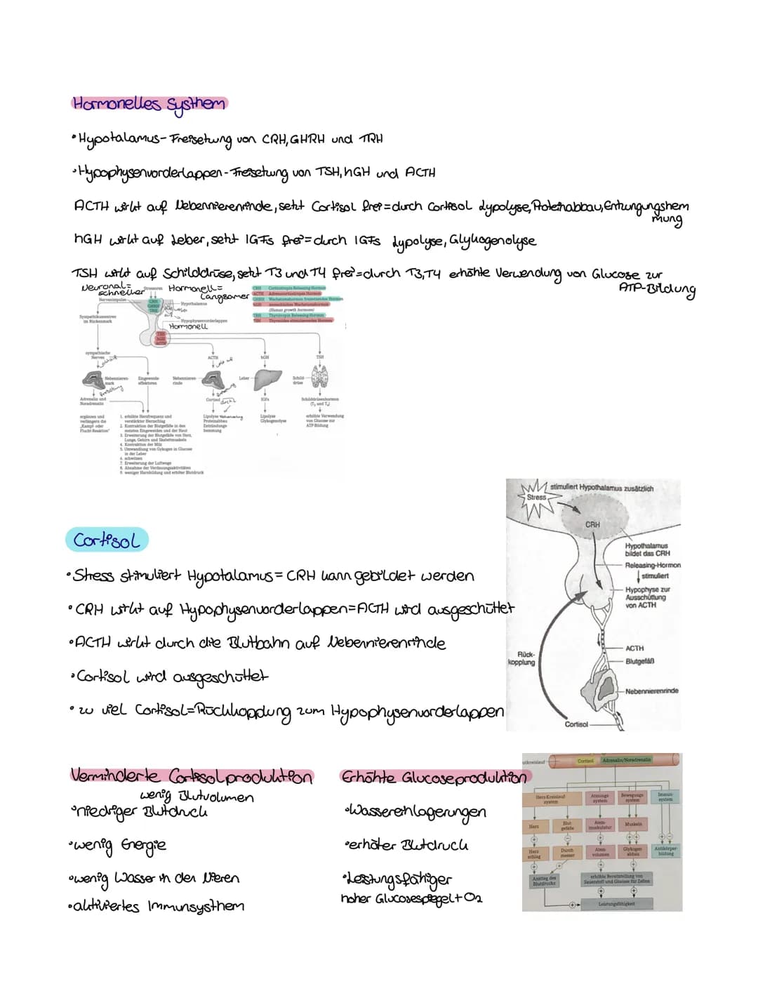 Biologie

Thema: Hormone

Verbindung zwischen feverone thomonashem Nervensysthem
endokrines systhem neuronales systhem

Botenstoffe Produkti