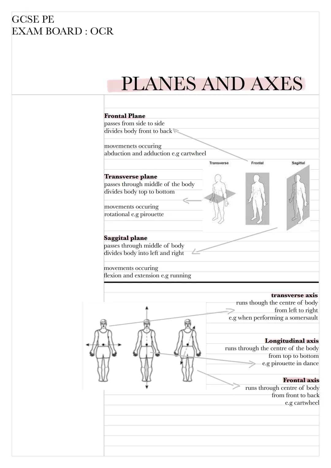 GCSE PE
EXAM BOARD: OCR

# PLANES AND AXES

Frontal Plane
passes from side to side
divides body front to back

movemenets occuring
abduction