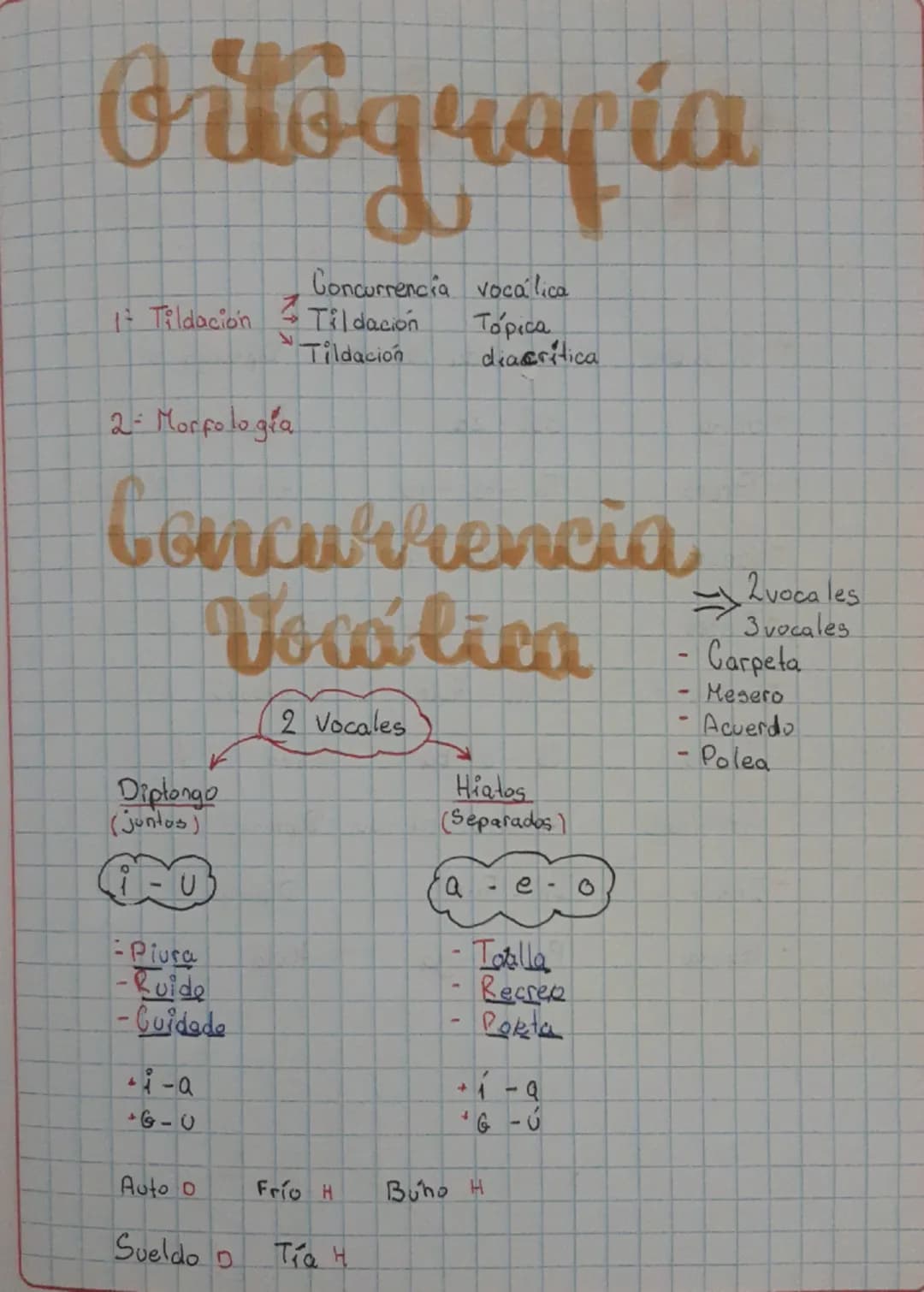 Ortografia

Concurrencia vocalica
1 Tildación Tildación
2- Morfologia

Tildación

Tópica
diacritica

Concurrencia
Voválica


Diptongo
(junto