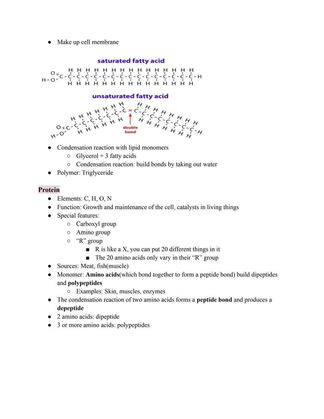 # Molecules of Life

*   Organic: Contains the element carbon(with hydrogen)
*   Example: C6H12O6
*   Not examples: H₂O, CO₂

*Pay close att