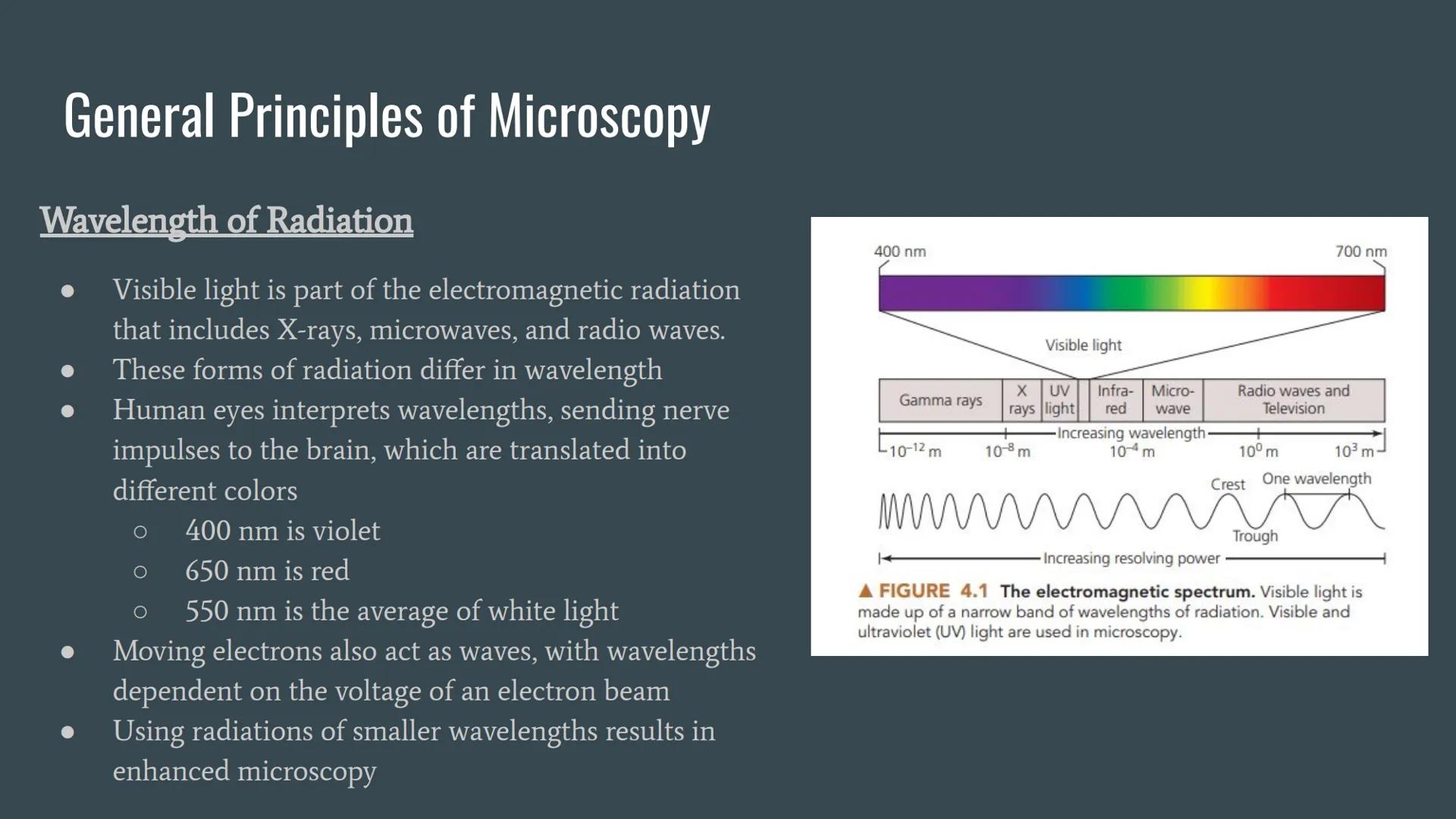 # Chapter 4: Microscopy, Staining, and Classification

... # Units of Measurement

Since microorganisms are small, and a unit of measure is 