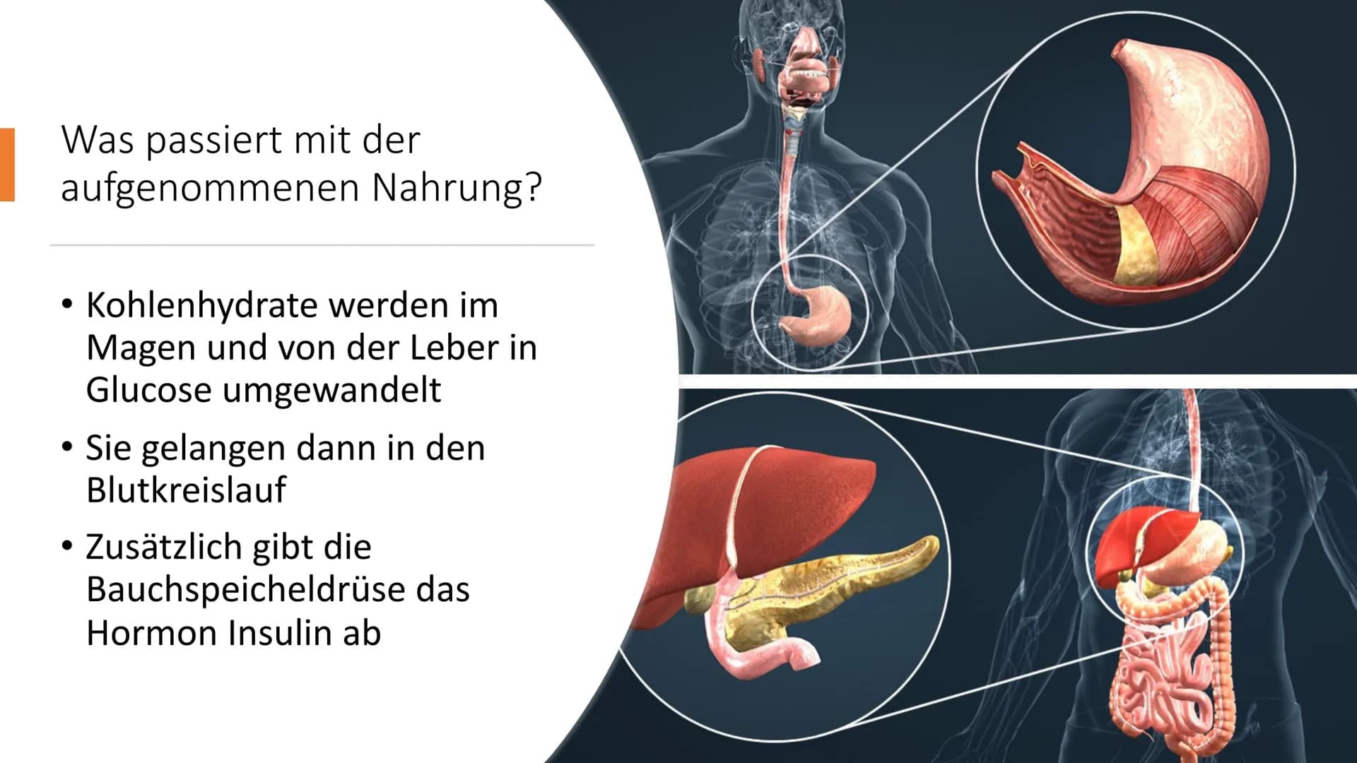  # Diabetes mellitus

Von Nikolas Schmieg Was ist Diabetes
mellitus?

• griech. διαβαίνειν= durchfließen
lat. mellitus= honigsüß

• Hauptmer