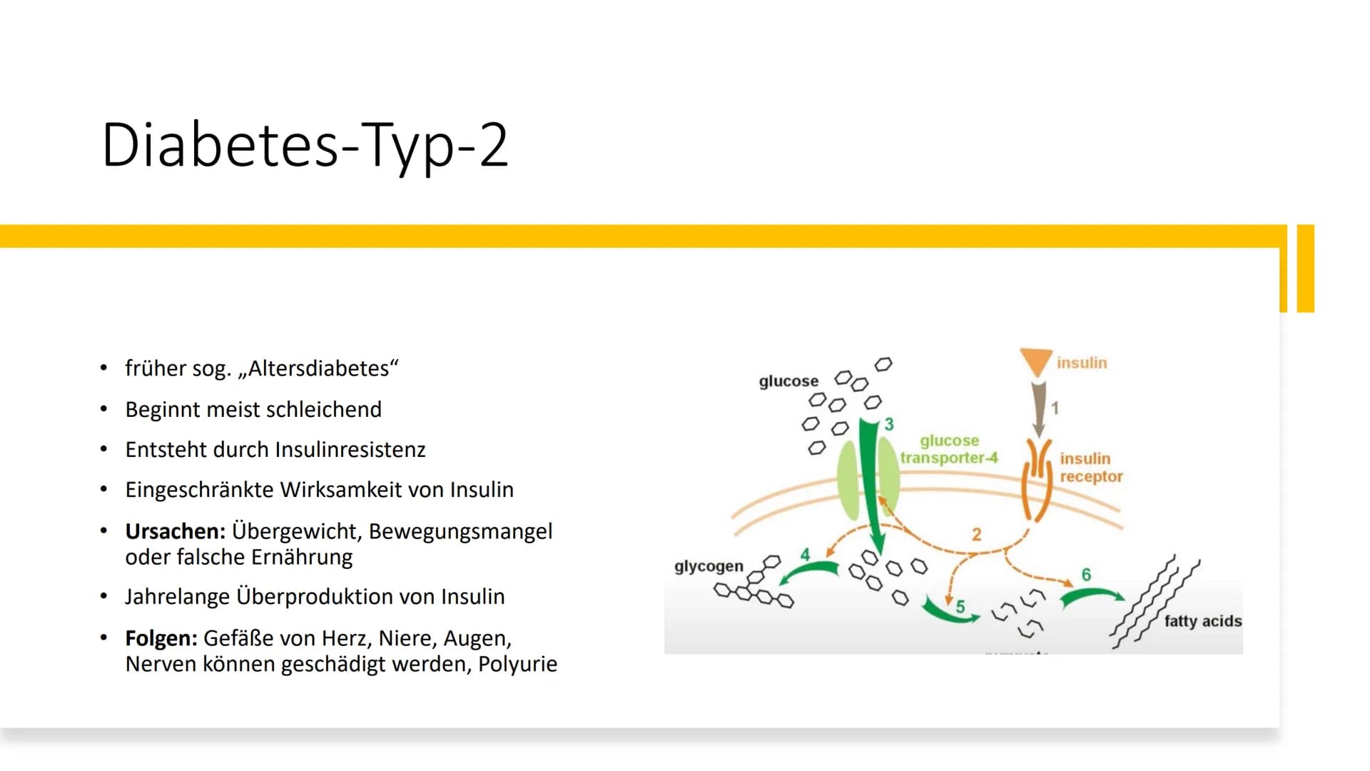  # Diabetes mellitus

Von Nikolas Schmieg Was ist Diabetes
mellitus?

• griech. διαβαίνειν= durchfließen
lat. mellitus= honigsüß

• Hauptmer