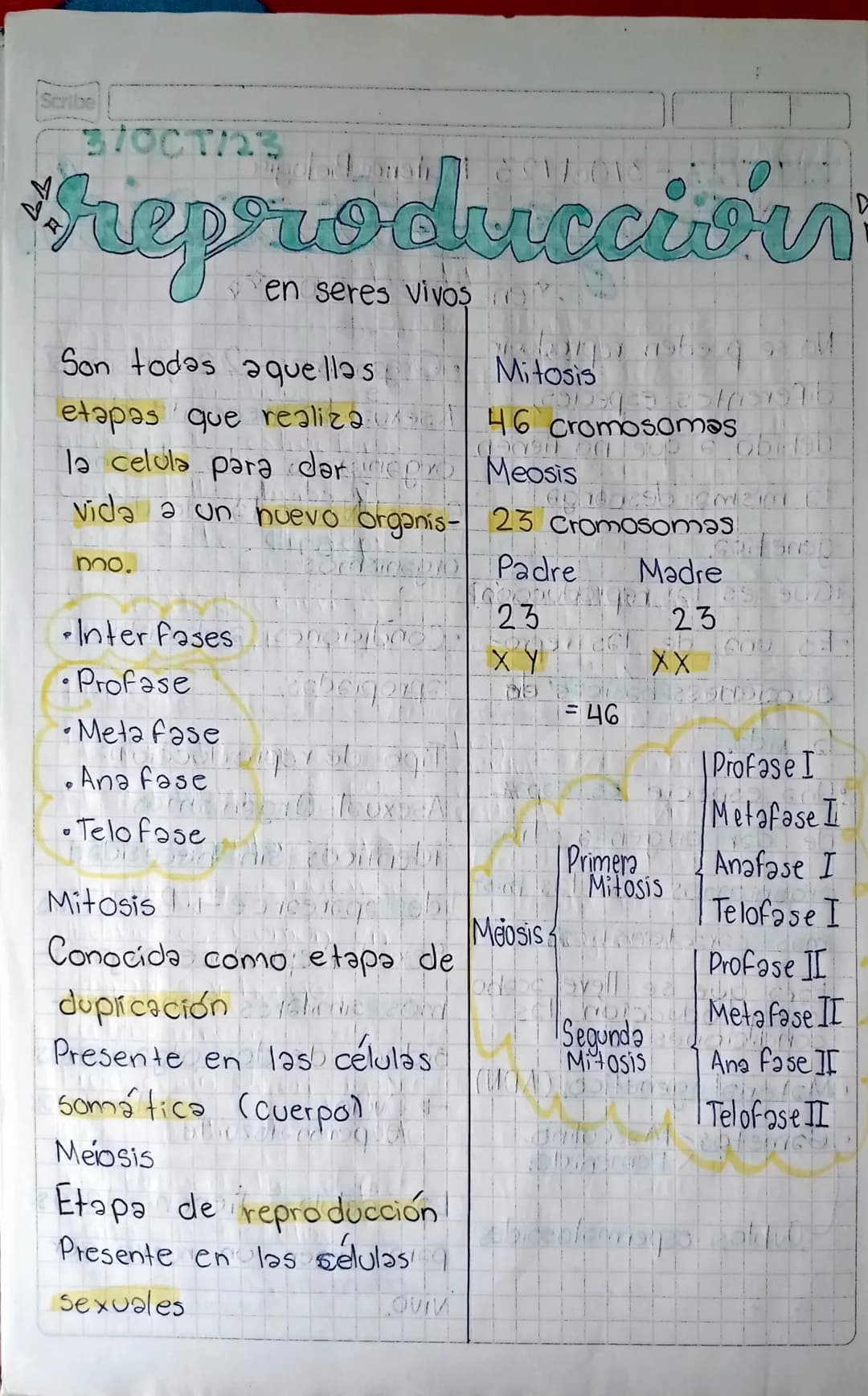 27000/23-3/Oct/23 Mateng: Biologia"
Scribe
# reproduccion
* en seres vivos
No se pueden reproducir
diferentes especies,
debido a que no tien