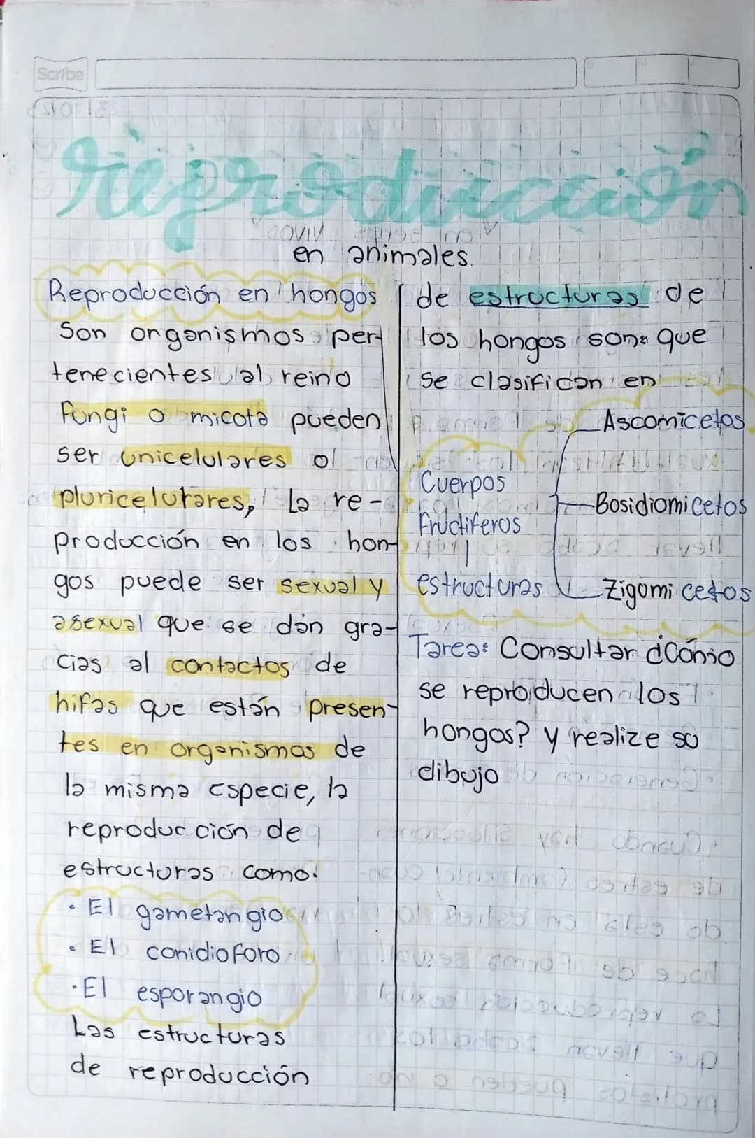 27000/23-3/Oct/23 Mateng: Biologia"
Scribe
# reproduccion
* en seres vivos
No se pueden reproducir
diferentes especies,
debido a que no tien