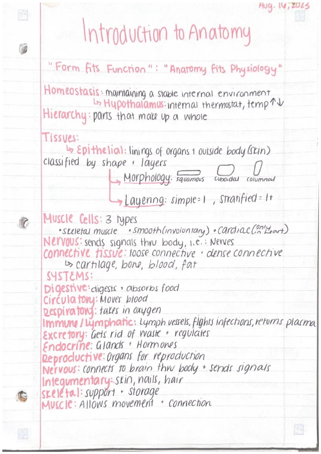 Aug. 14, 2015

# Introduction to Anatomy

"Form fits Function": "Anatomy fits Physiology"

Homeostasis: maintaining a stable internal enviro
