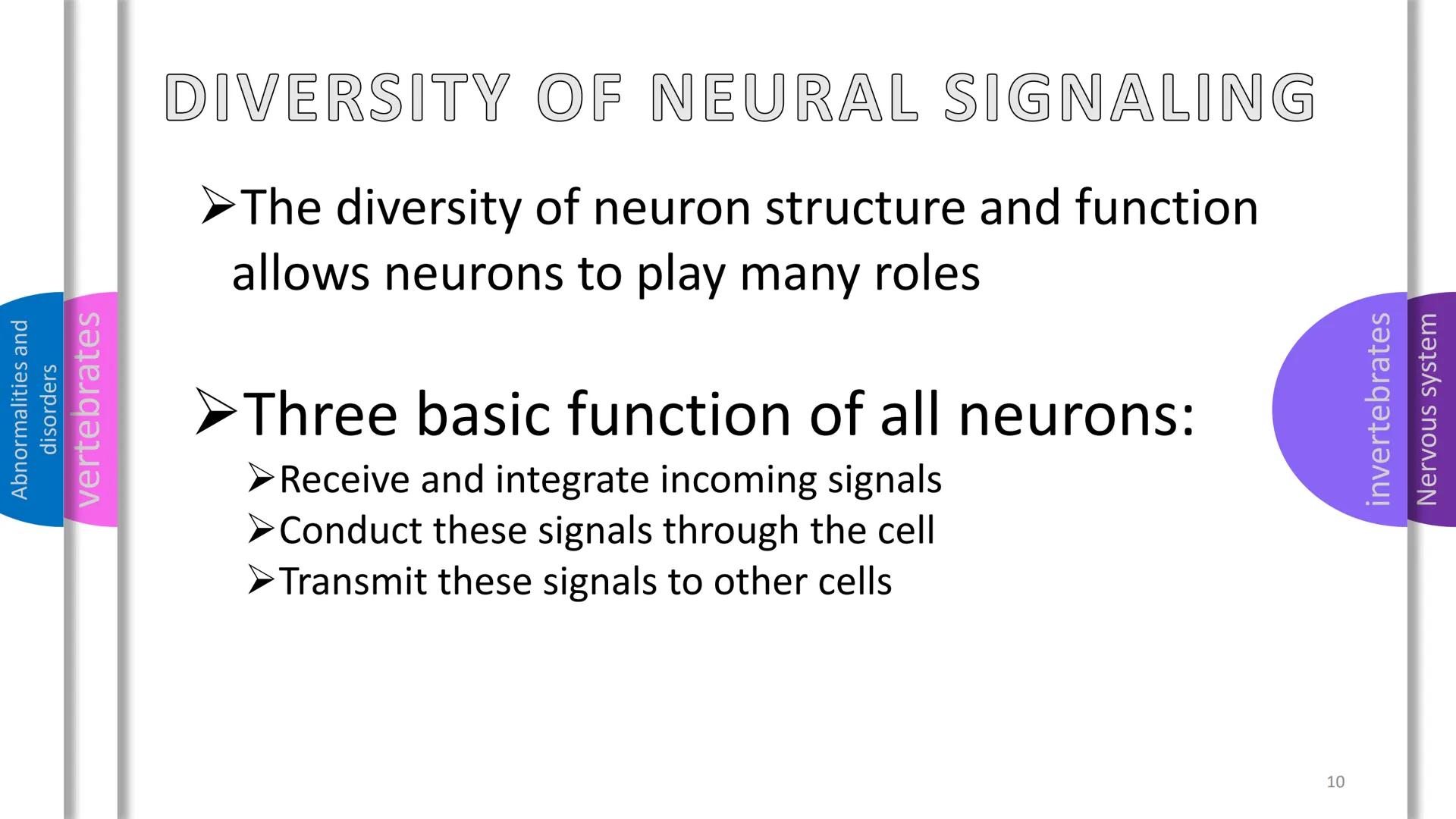 - Abnormalities and disorders
- vertebrates
- invertebrates
- Nervous system

NERVOUS
SYSTEM Abnormalities and
disorders
vertebrates
i