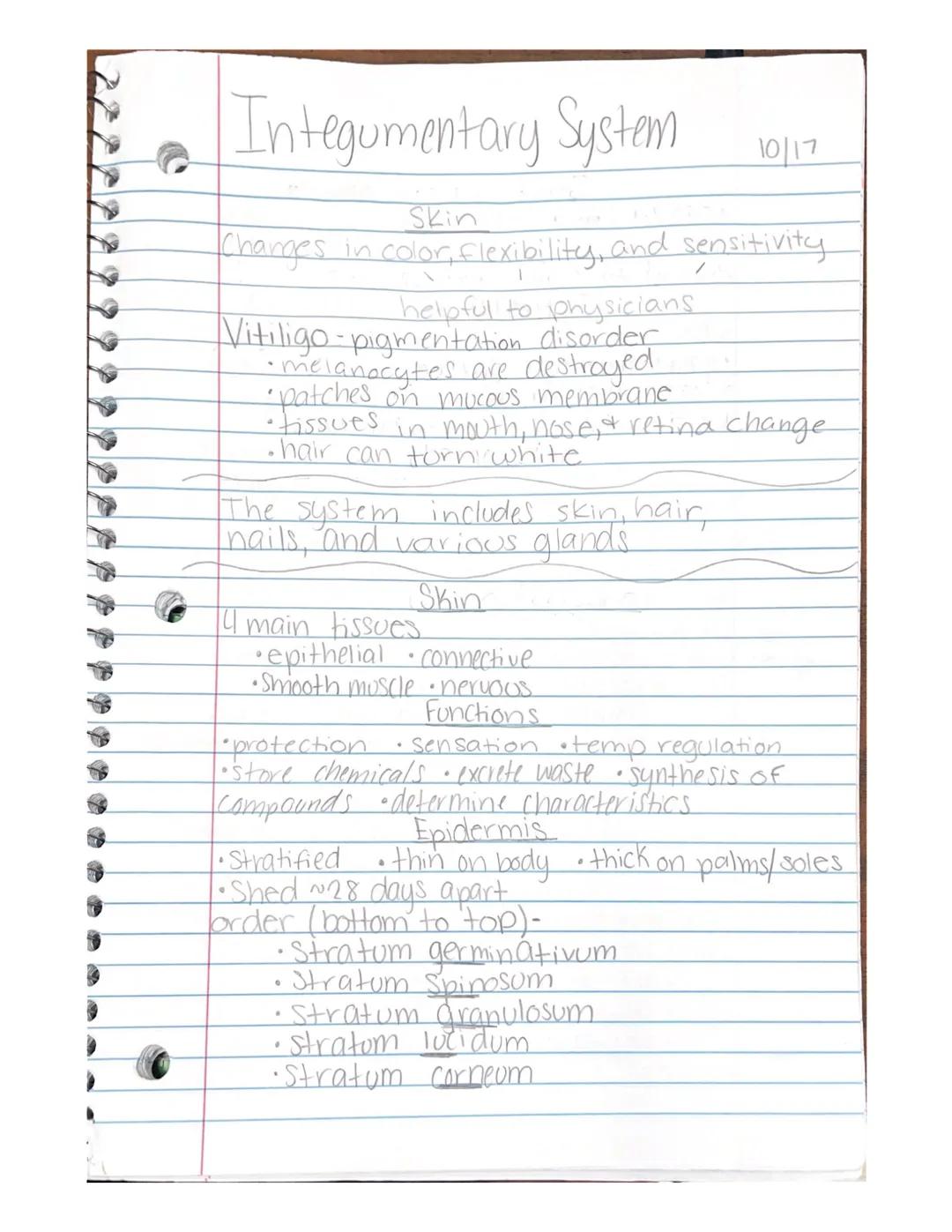Integumentary System

Skin

10/17

Changes in color, Flexibility, and sensitivity
•
helpful to physicians

Vitiligo-pigmentation disorder
* 