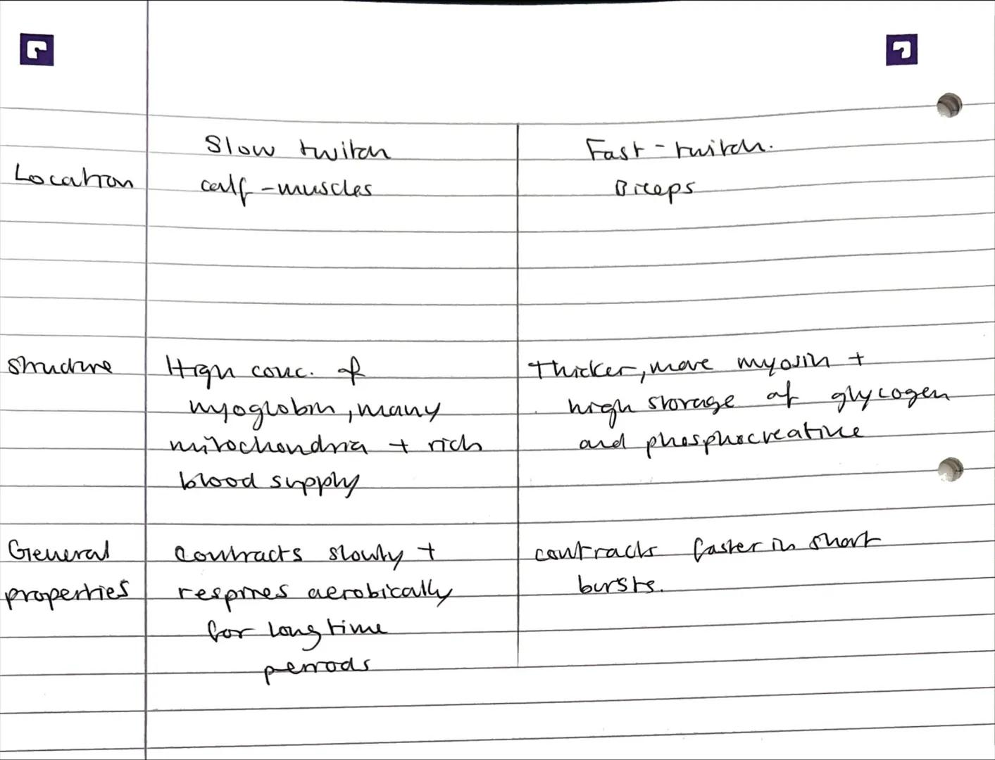 2.) Ca2+ binds to trypomyosin molecules and cause them to
move $\rightarrow$ exposes binding site on achin filament.

3) Forms actin-myosin 