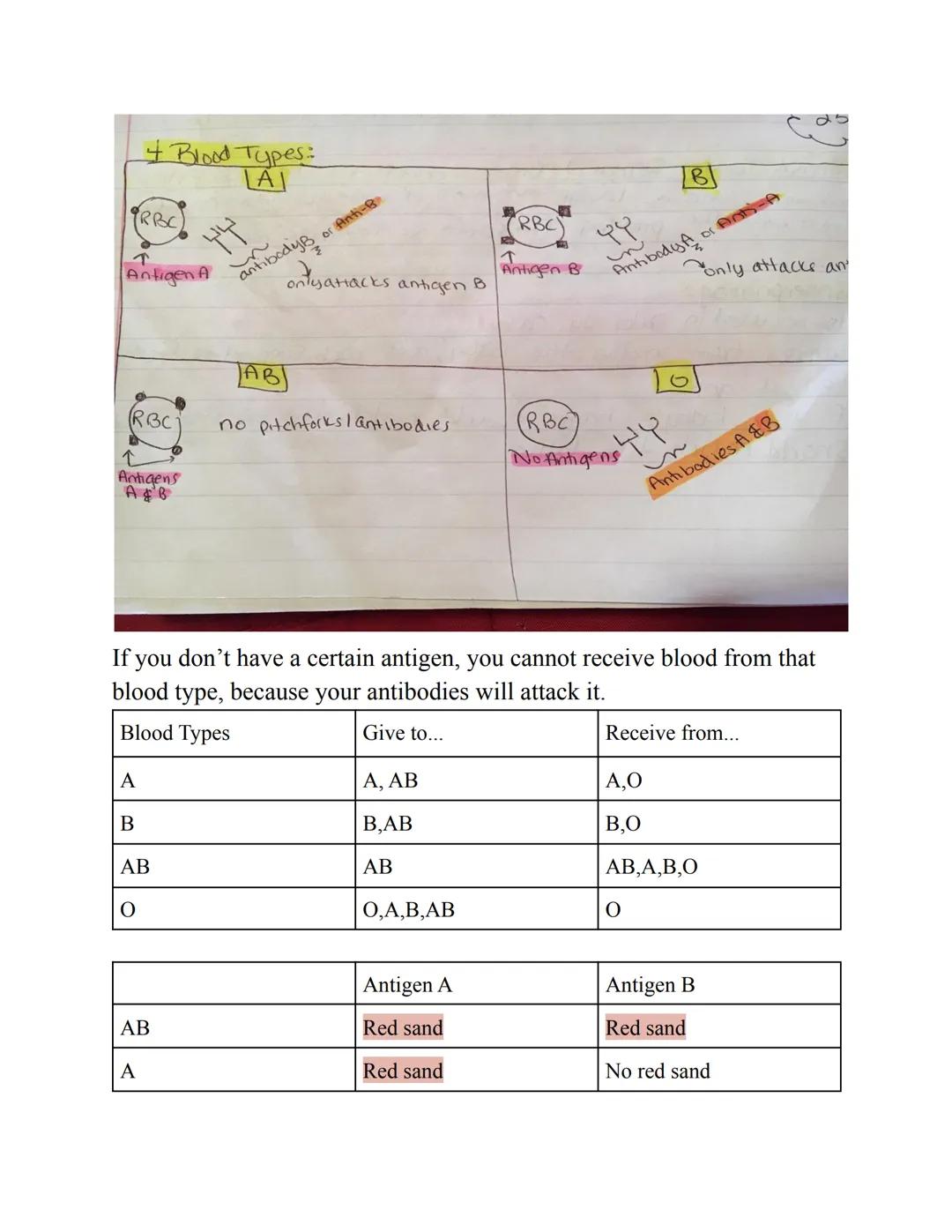 Genetics 4:Human Genetics

Human Applications of DNA:

1. The Human Genome Project- Venter sequenced the entire set of genes of
a human by u