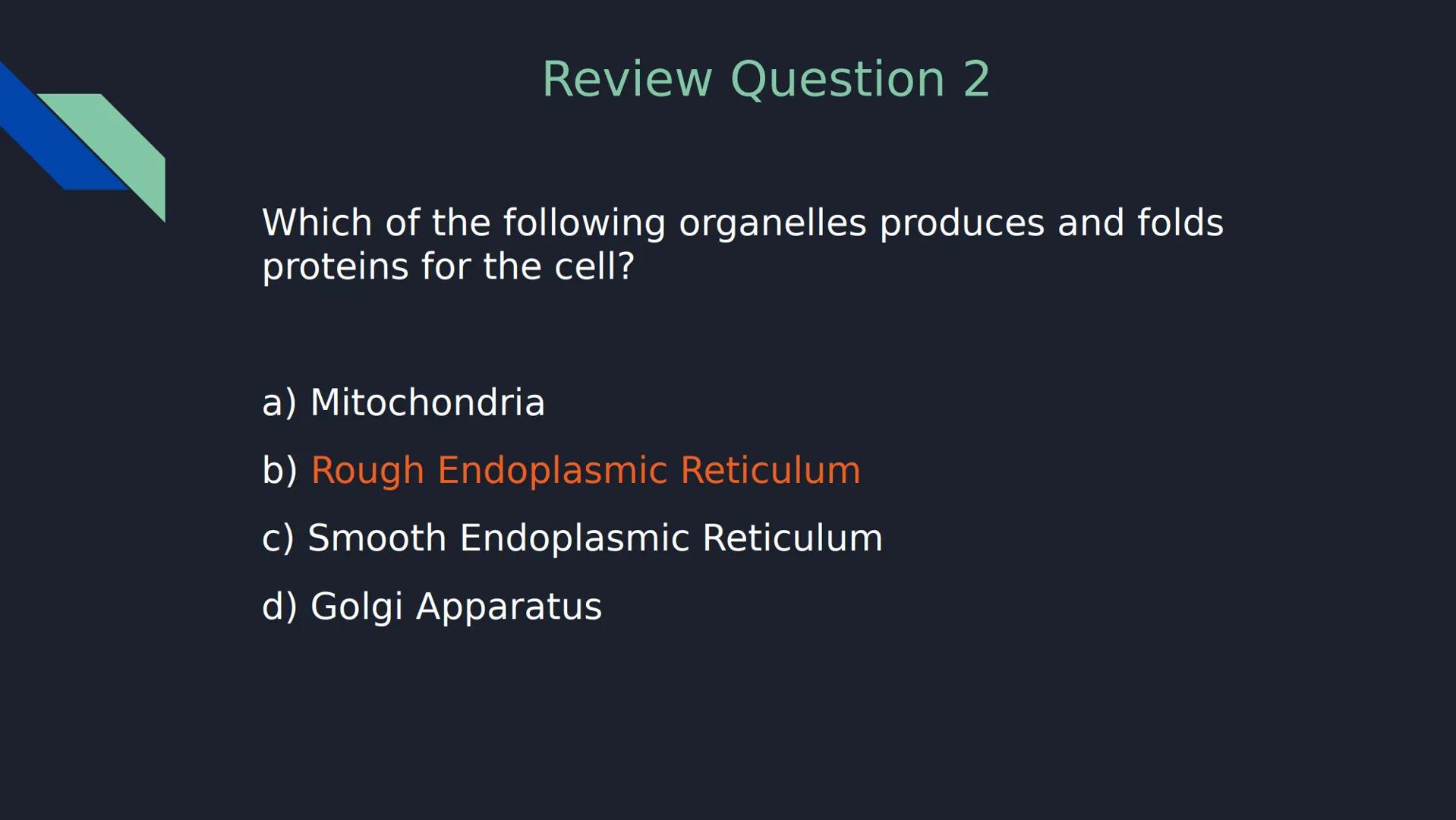 Review Question 1

Which of the following is NOT a type of passive transport?

a) Simple Diffusion

b) Osmosis

c) Facilitated Diffusion

d)