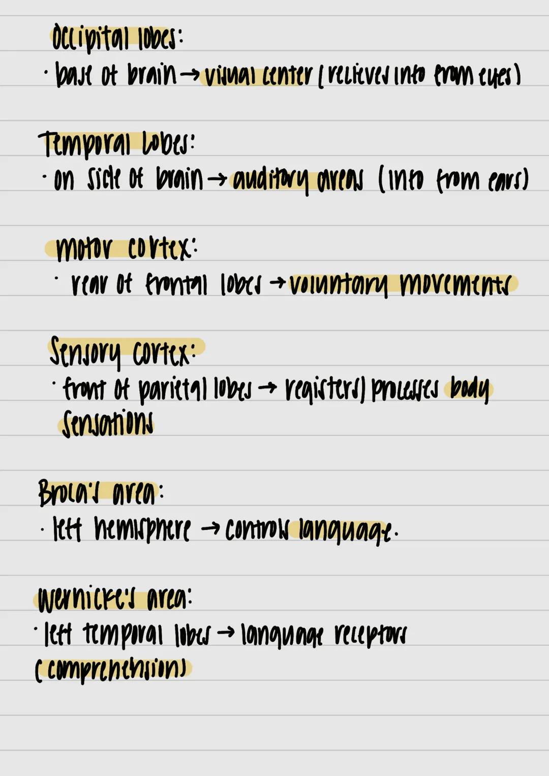 motor neurons:
- neurons that carry out information from central
 nervous system muncies and glands



nervous system:
- all nerve cells in 