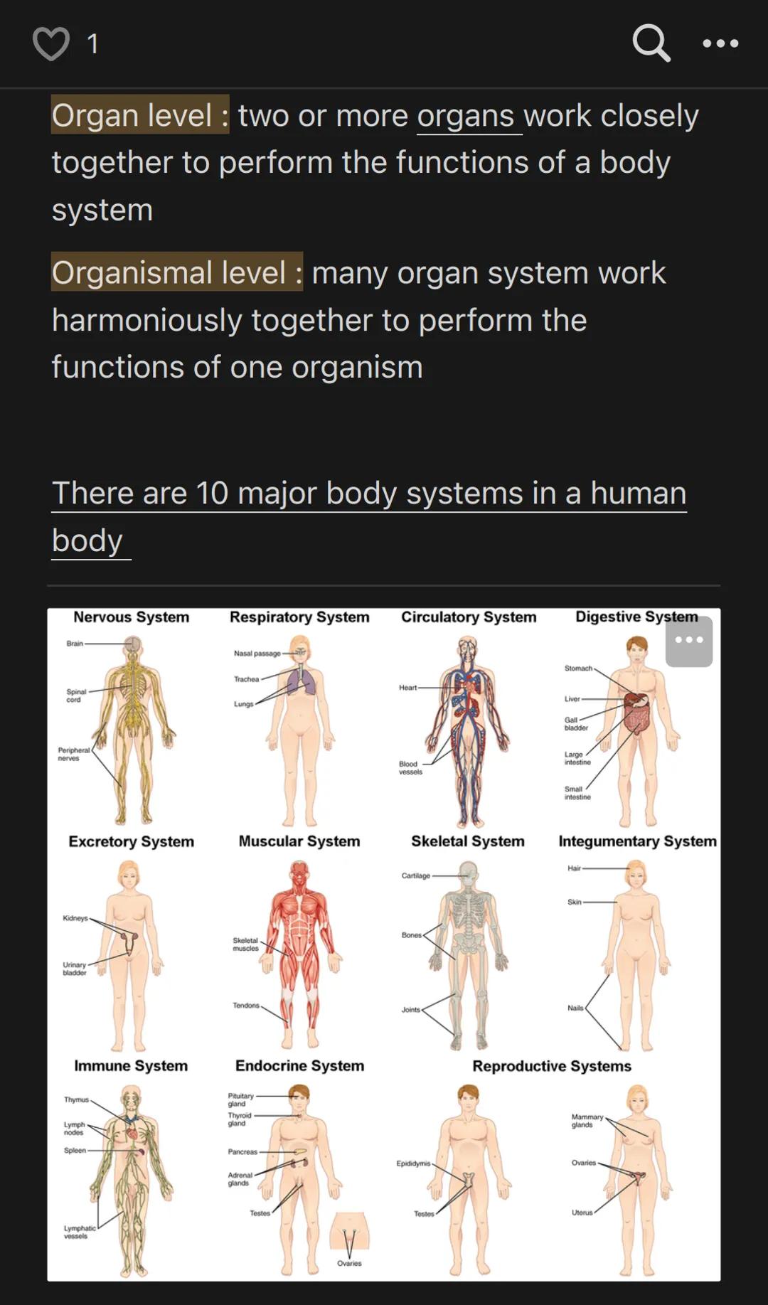 1

Anatomy & Physiology V1/3

Chapter 1: Introduction to the Human Body

1.1 | Overview of Anatomy and Physiology

Anatomy = structure

Huma