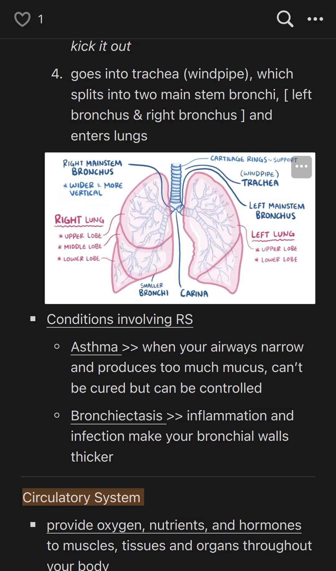 1

Anatomy & Physiology V1/3

Chapter 1: Introduction to the Human Body

1.1 | Overview of Anatomy and Physiology

Anatomy = structure

Huma