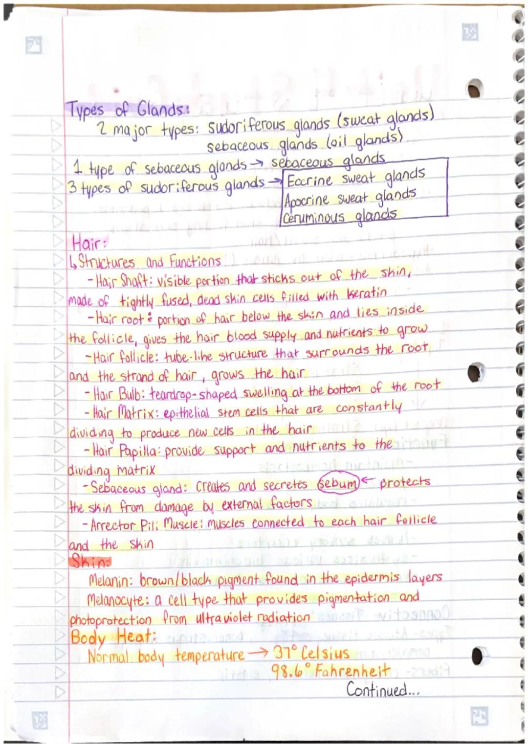 # Unit 4 Study Guide
Main layers of the skina
*   Epidermis- outermost layer
    -protects the body, keeps the body hydrated, produces
    n