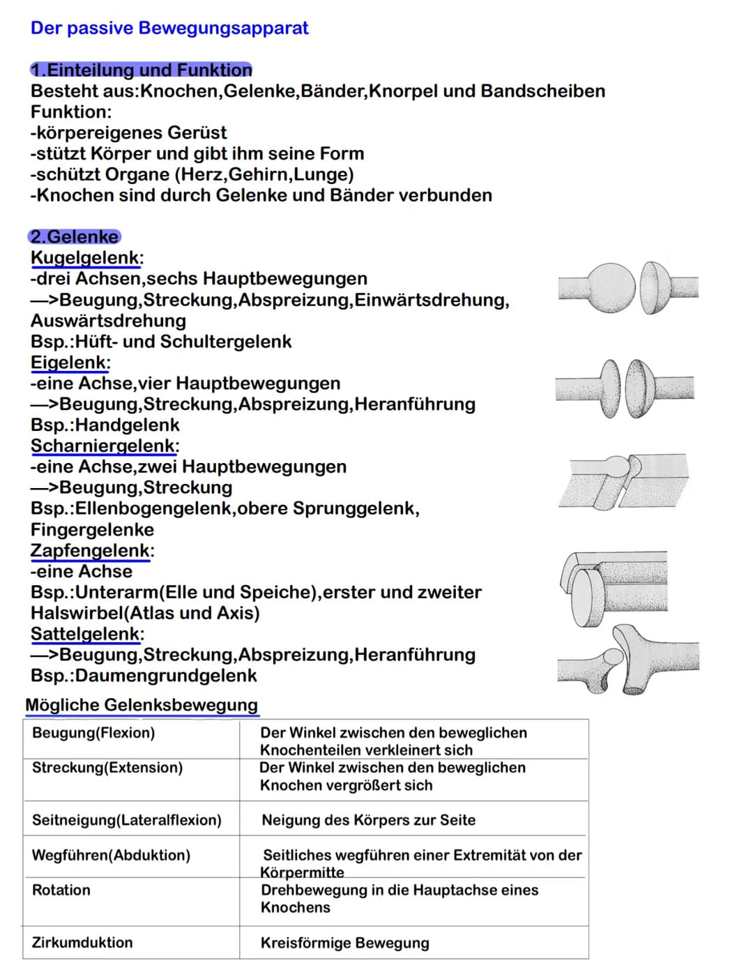  Der passive Bewegungsapparat

1. Einteilung und Funktion
Besteht aus: Knochen, Gelenke, Bänder, Knorpel und Bandscheiben
Funktion:
-körpere