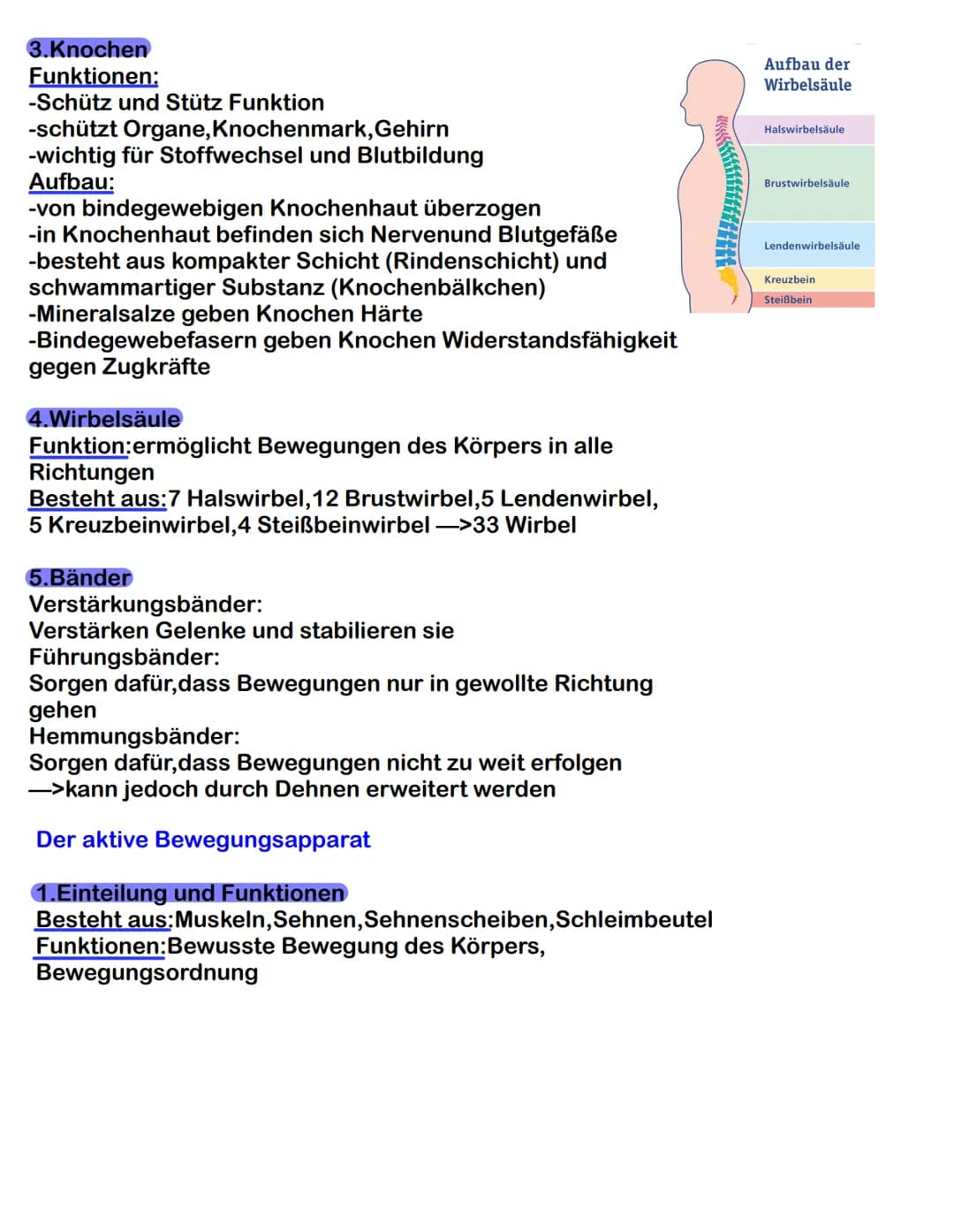  Der passive Bewegungsapparat

1. Einteilung und Funktion
Besteht aus: Knochen, Gelenke, Bänder, Knorpel und Bandscheiben
Funktion:
-körpere
