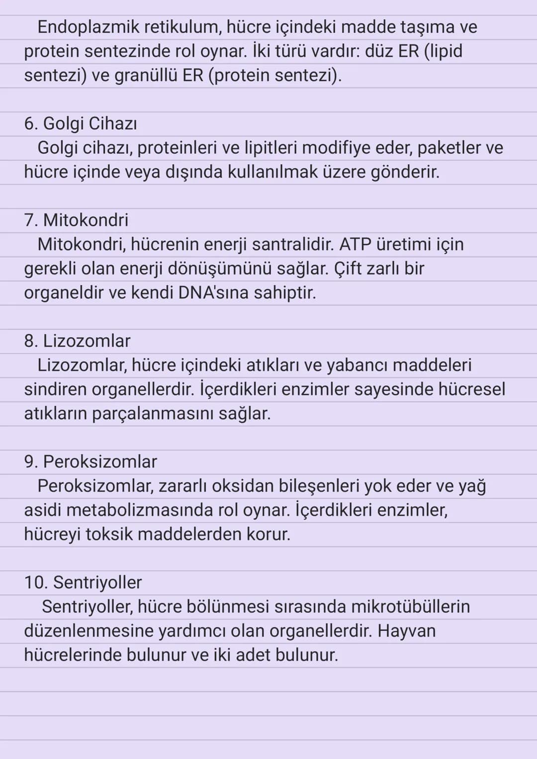 # Hücrenin Yapısı

Hücre, canlı organizmaların temel birimidir. Tüm yaşam
fonksiyonlarını gerçekleştiren ve organizmanın yapısını
oluşturan 