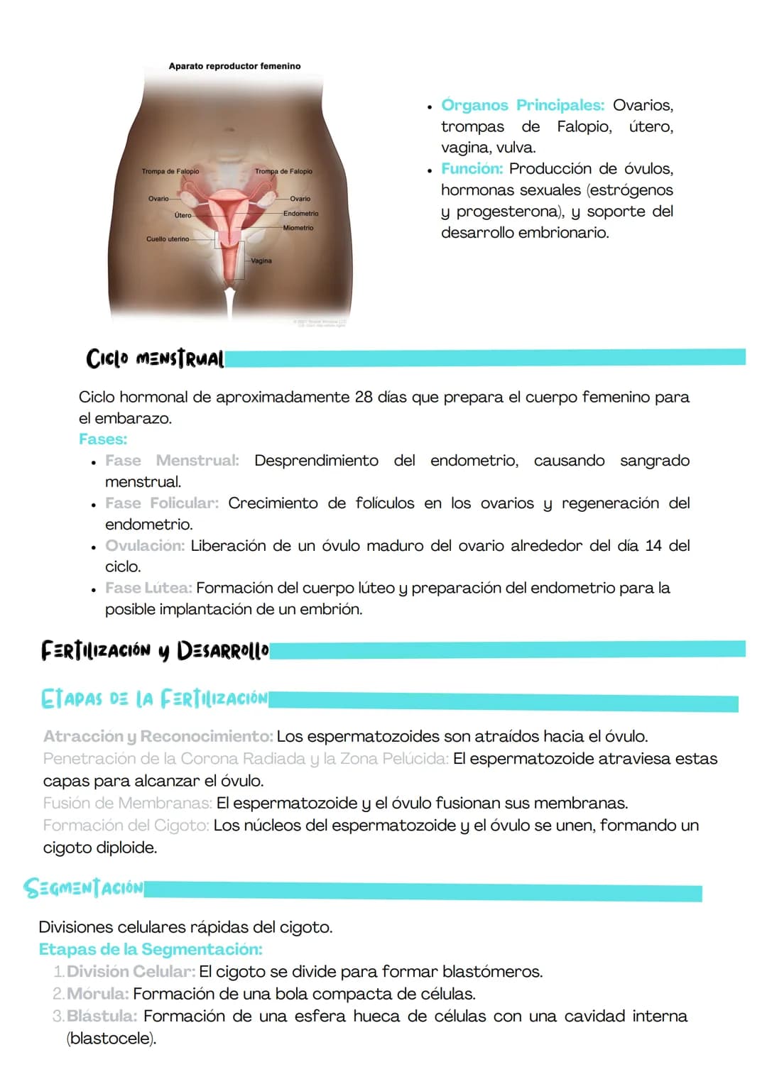 # REPRODUCCIÓN

¿QUE ES LA REPRODUCCION?

La reproducción es el proceso biológico mediante el cual los organismos producen
nuevos individuos