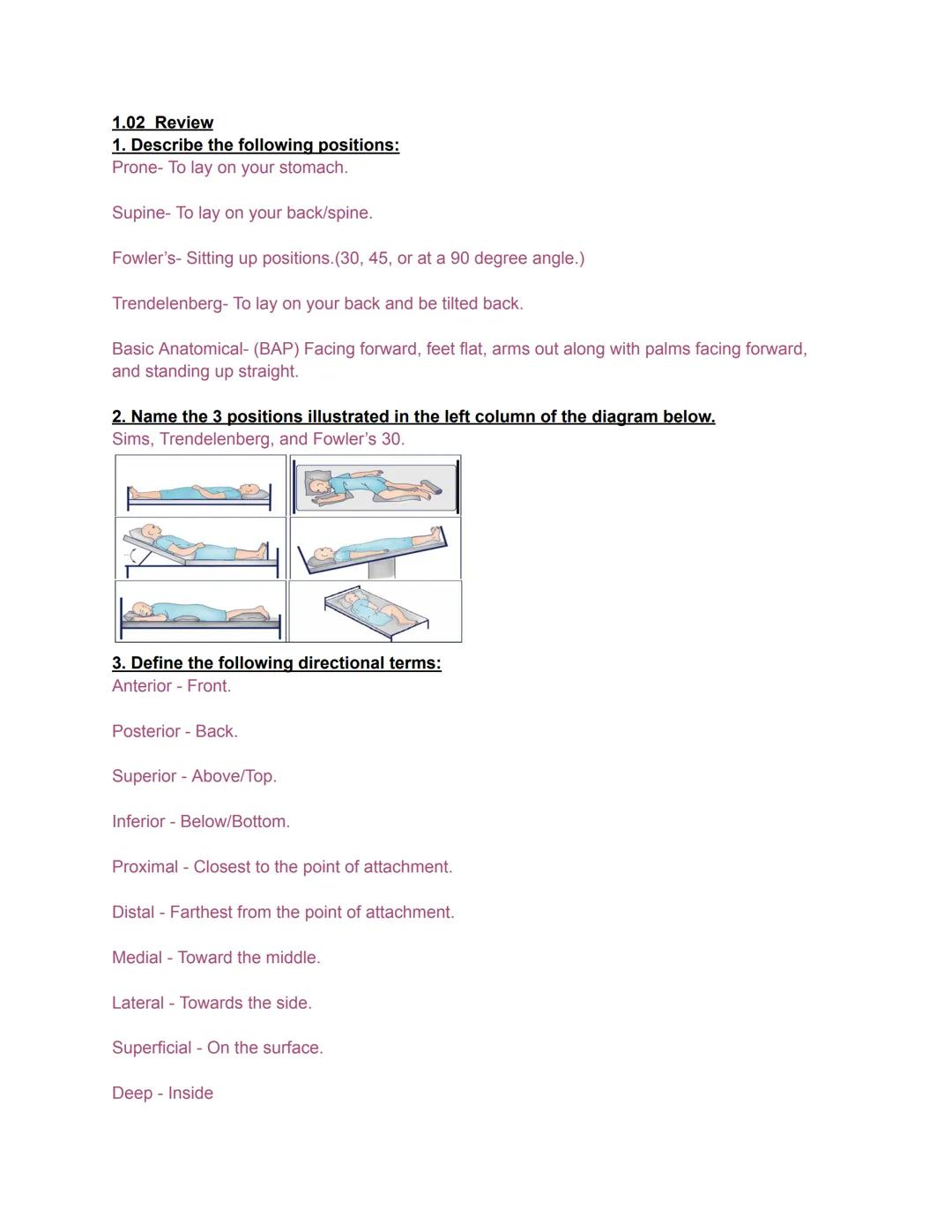1.02 Review

1. Describe the following positions:
Prone- To lay on your stomach.

Supine- To lay on your back/spine.

Fowler's- Sitting up p