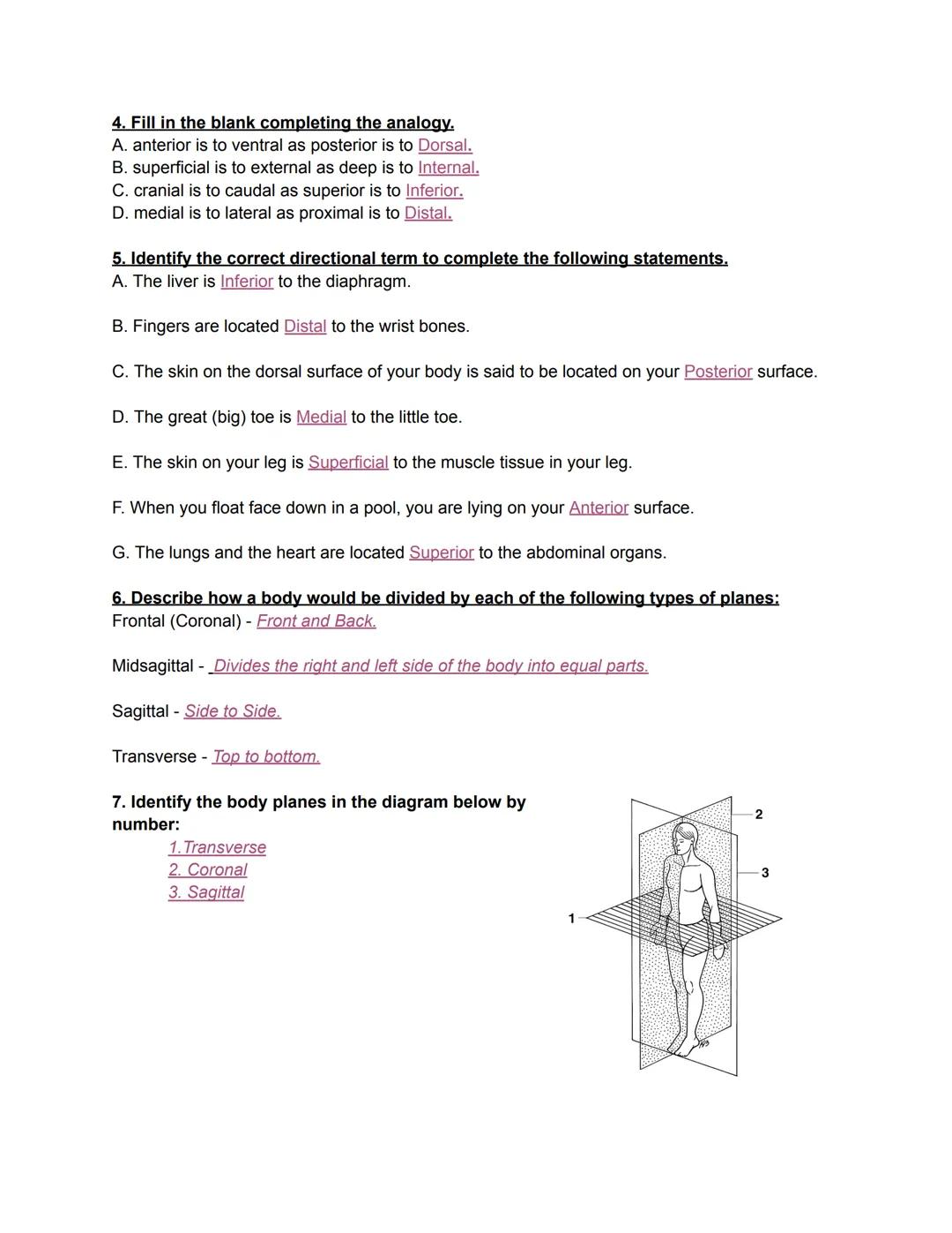 1.02 Review

1. Describe the following positions:
Prone- To lay on your stomach.

Supine- To lay on your back/spine.

Fowler's- Sitting up p