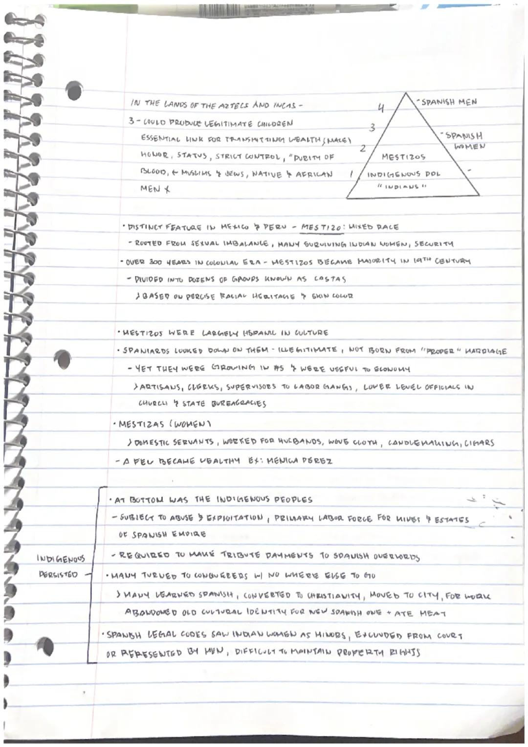 # SOCIAL MASS STRUCTURES FREEDOM BIGHTS DEVELOPMENTY
SOCIAL MOBILIT
MENDER ROUES
TRANS FOGHATION
# PULHICAL GOVERNMENT GLOBAL STRUCTURES LUG