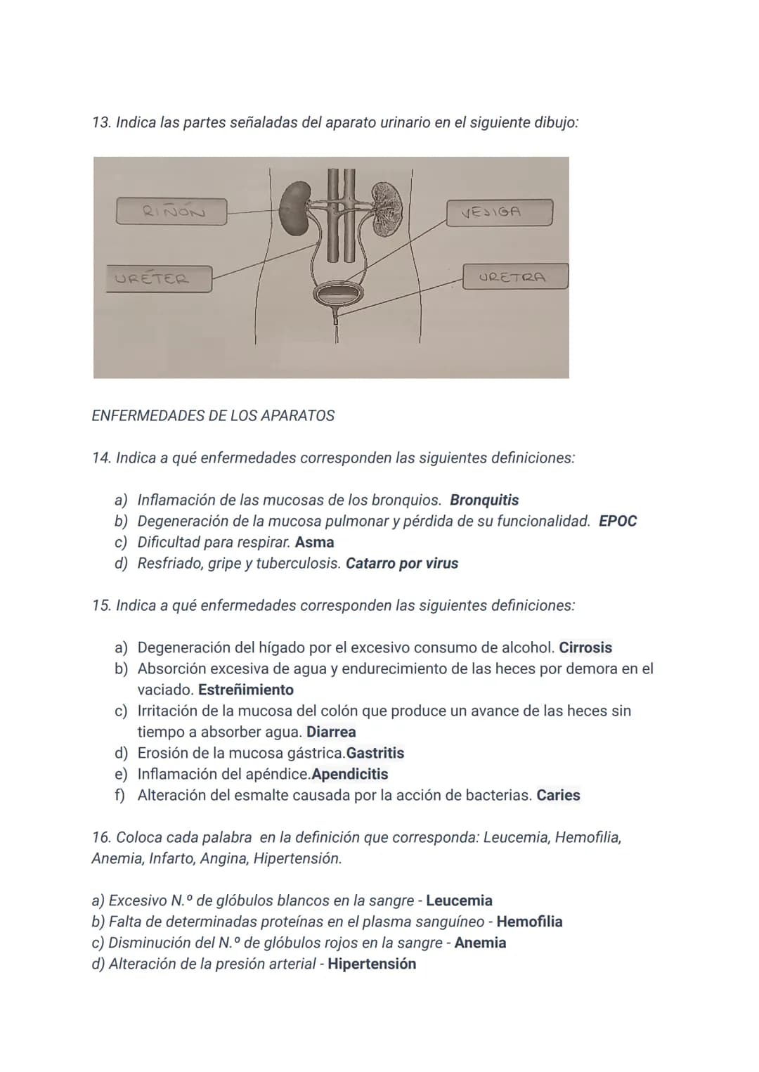 Ficha 3: APARATO DIGESTIVO, RESPIRATORIO, CIRCULATORIO Y EXCRETOR

1. ¿Cuáles son los aparatos implicados en realizar la función de nutrició